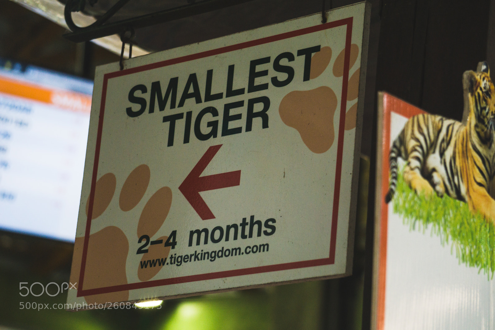 Sony a6000 sample photo. Dsc photography
