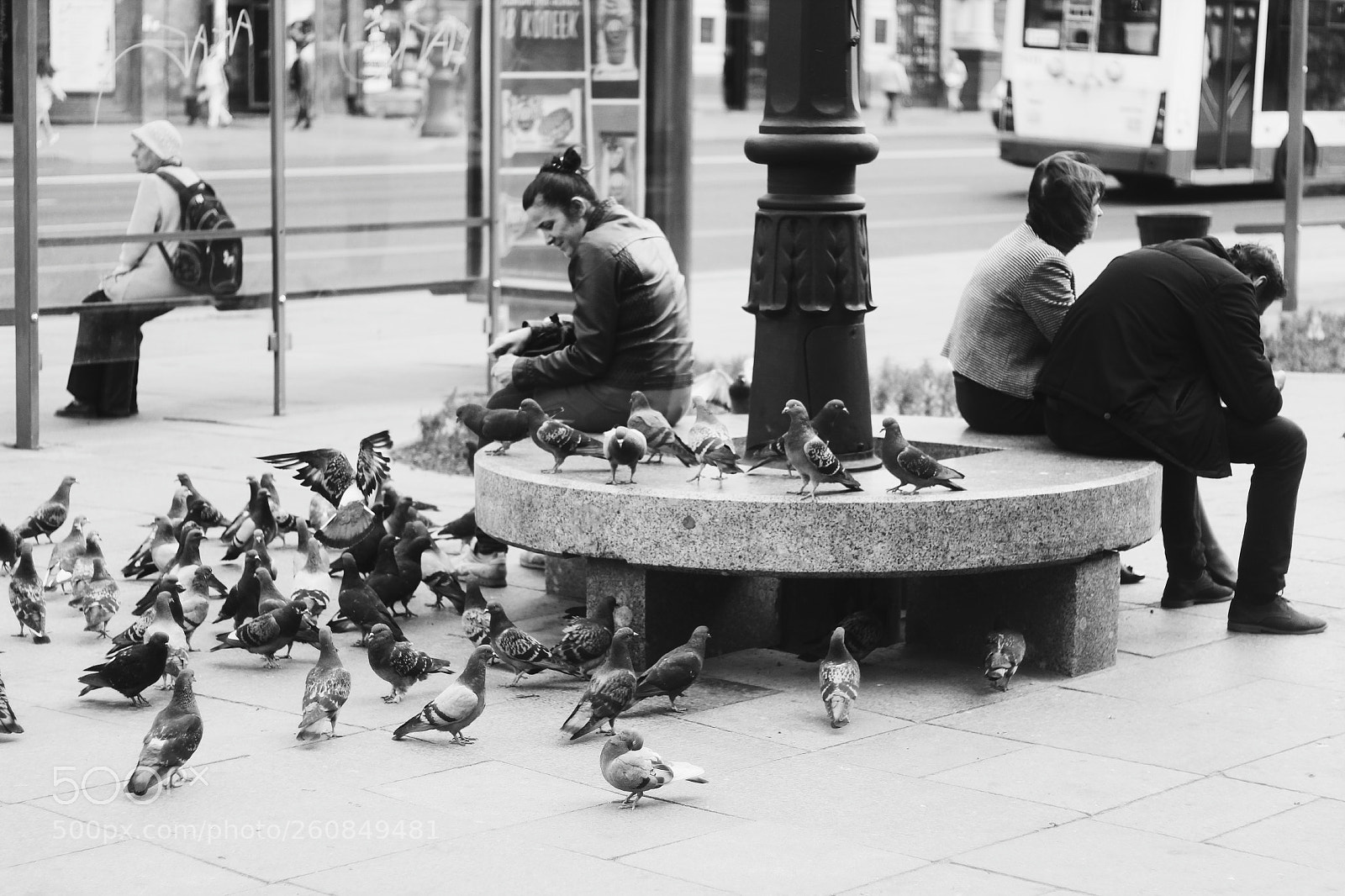 Canon EOS 1300D (EOS Rebel T6 / EOS Kiss X80) sample photo. Pigeons photography