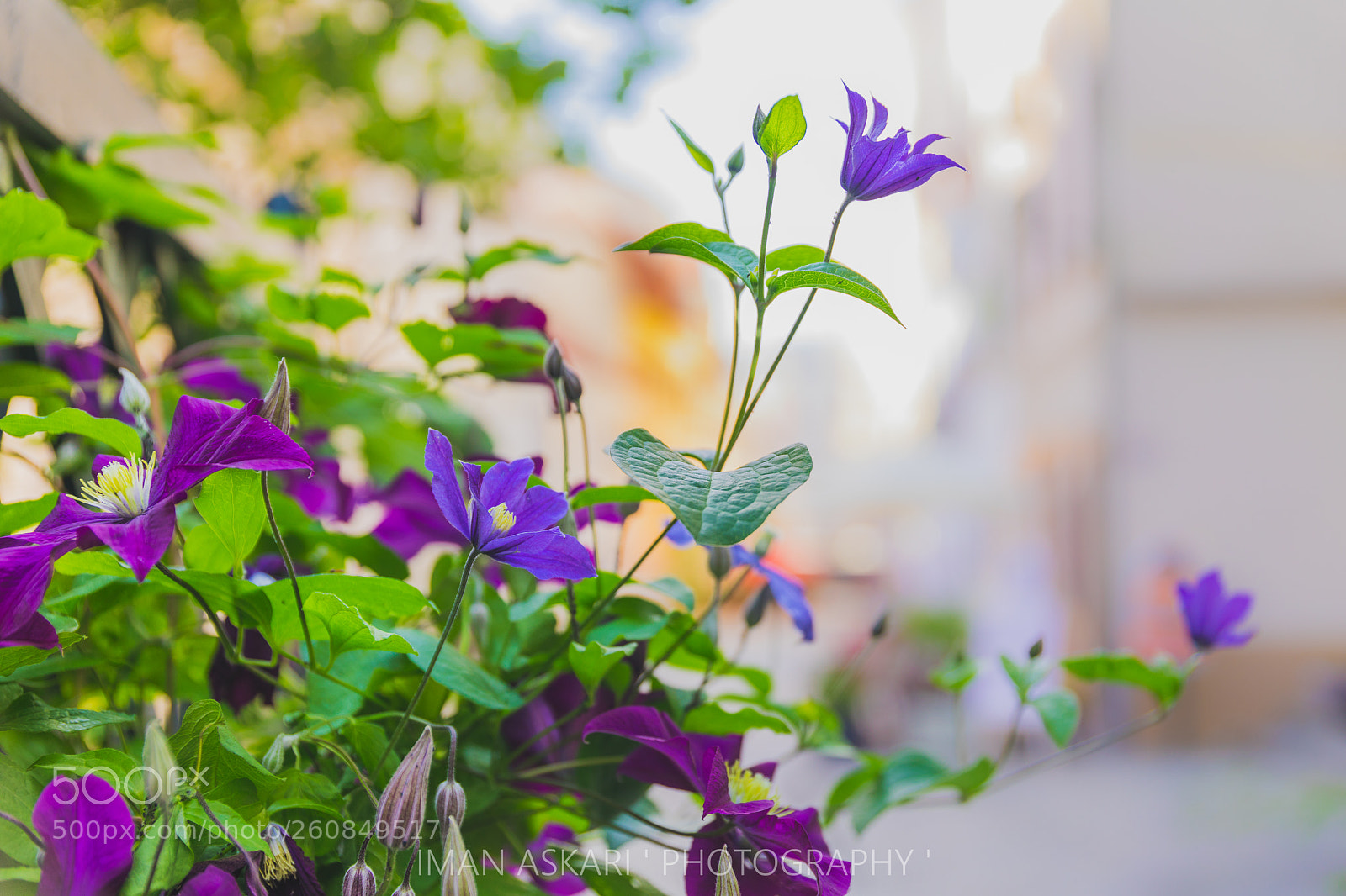 Canon EOS 5D Mark IV sample photo. Vienna 2 photography