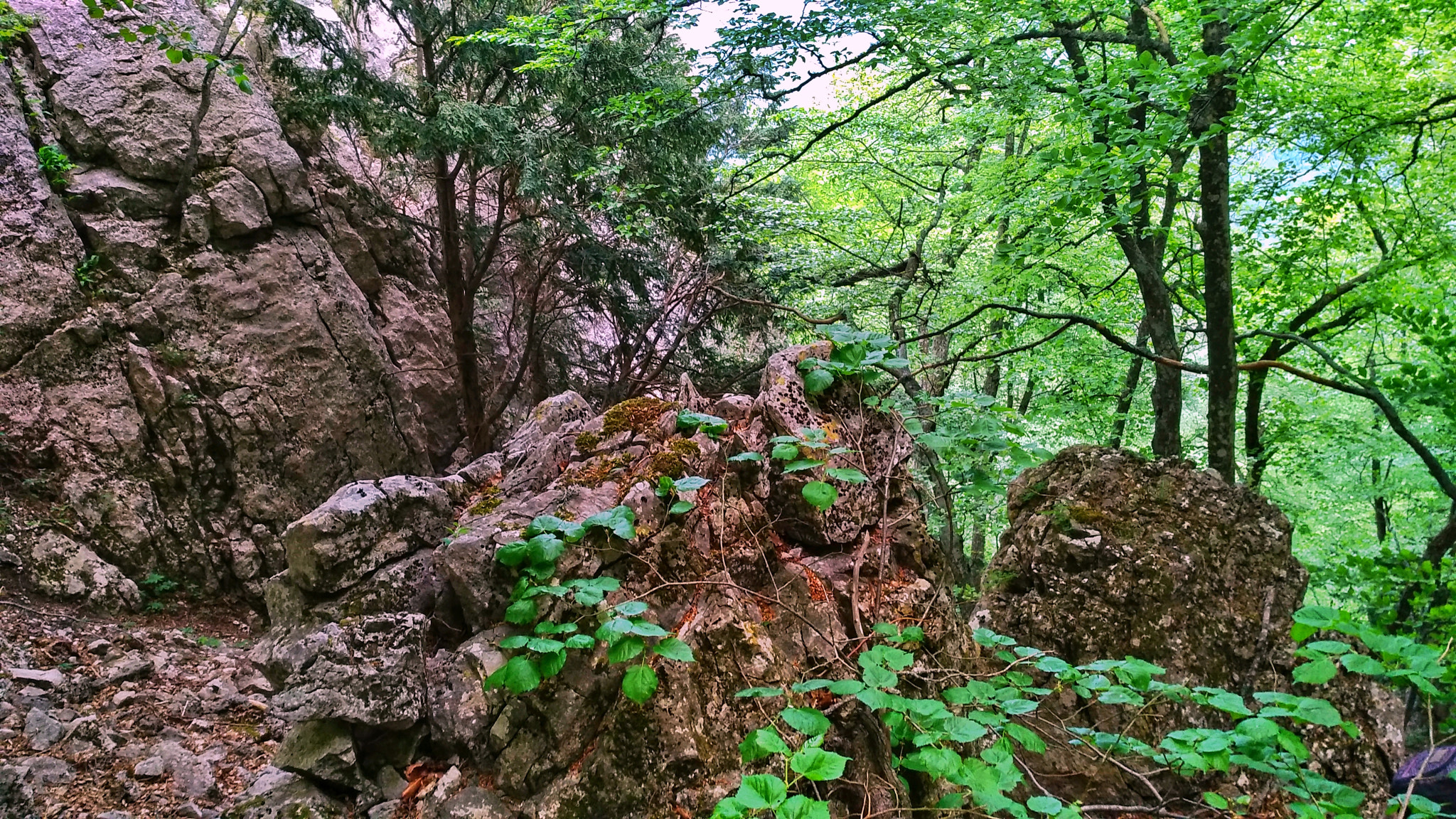 Xiaomi MI MAX 2 sample photo. Before the beginning of the descent photography