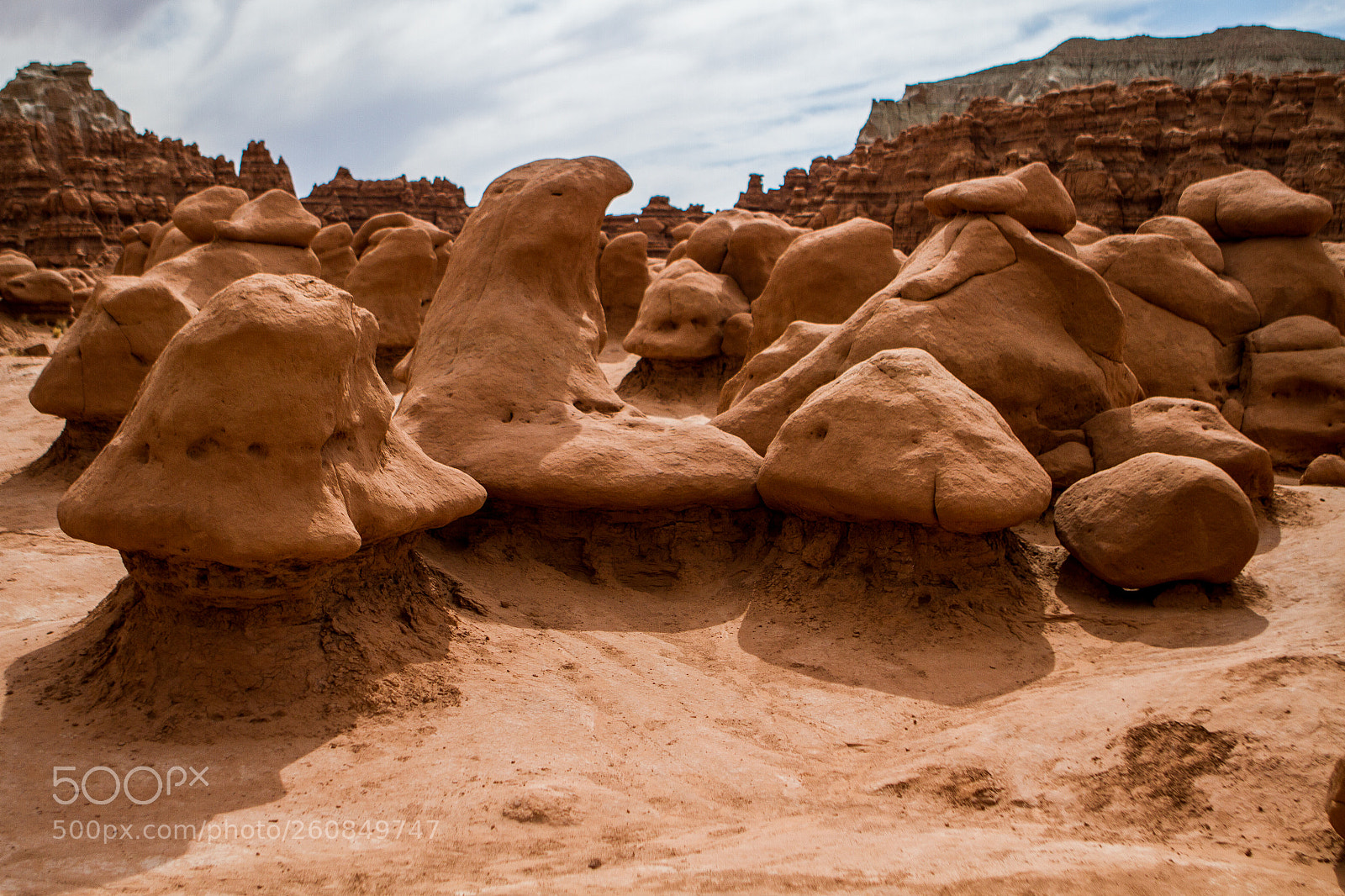 Canon EOS 7D sample photo. Rocky shrooms photography