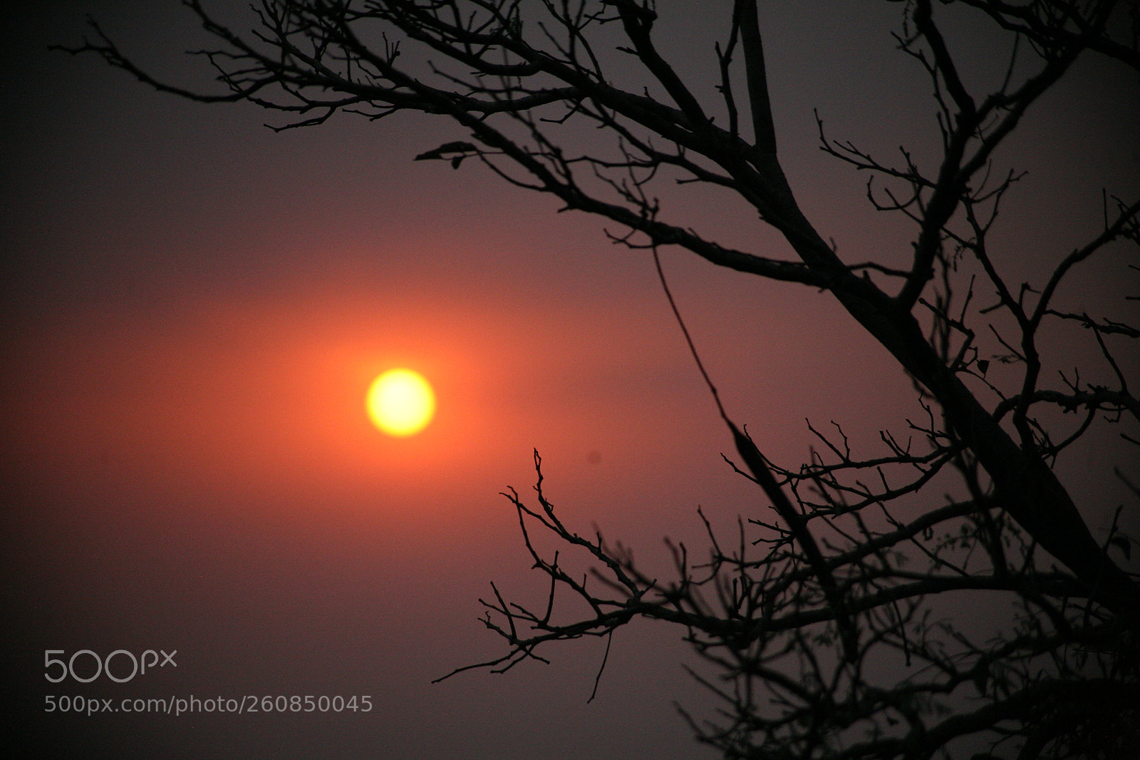 Canon EOS 5D sample photo. Sunset photography