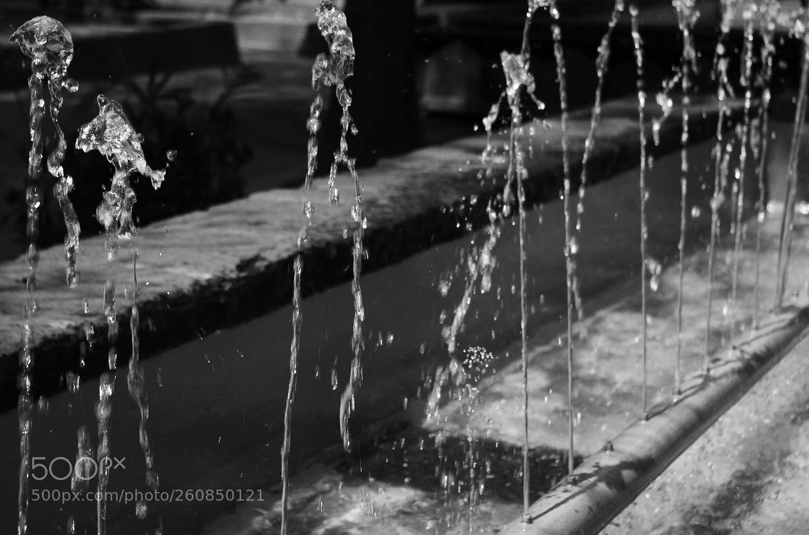 Pentax K-50 sample photo. Movimiento congelado photography