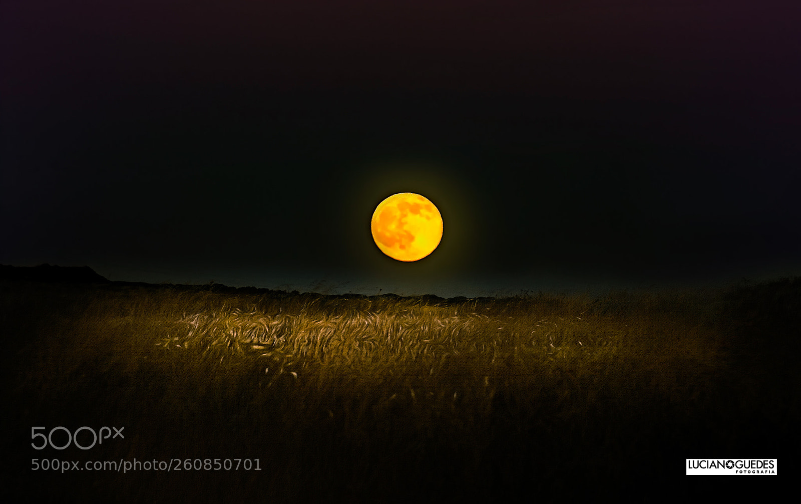 Canon EOS 6D sample photo. Noite de lua cheia photography
