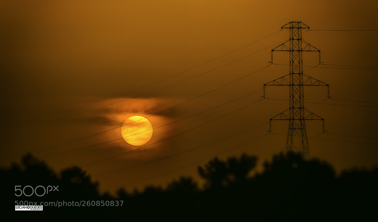Canon EOS 70D sample photo. Palmela photography