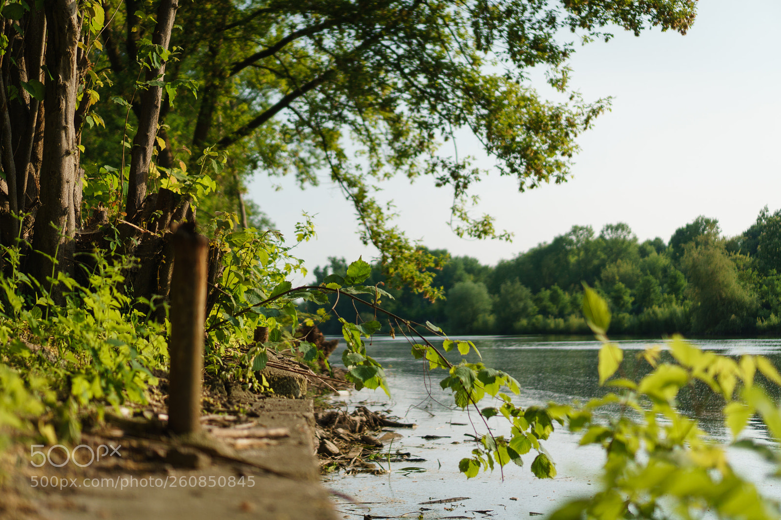 Sony a6000 sample photo. Green river photography