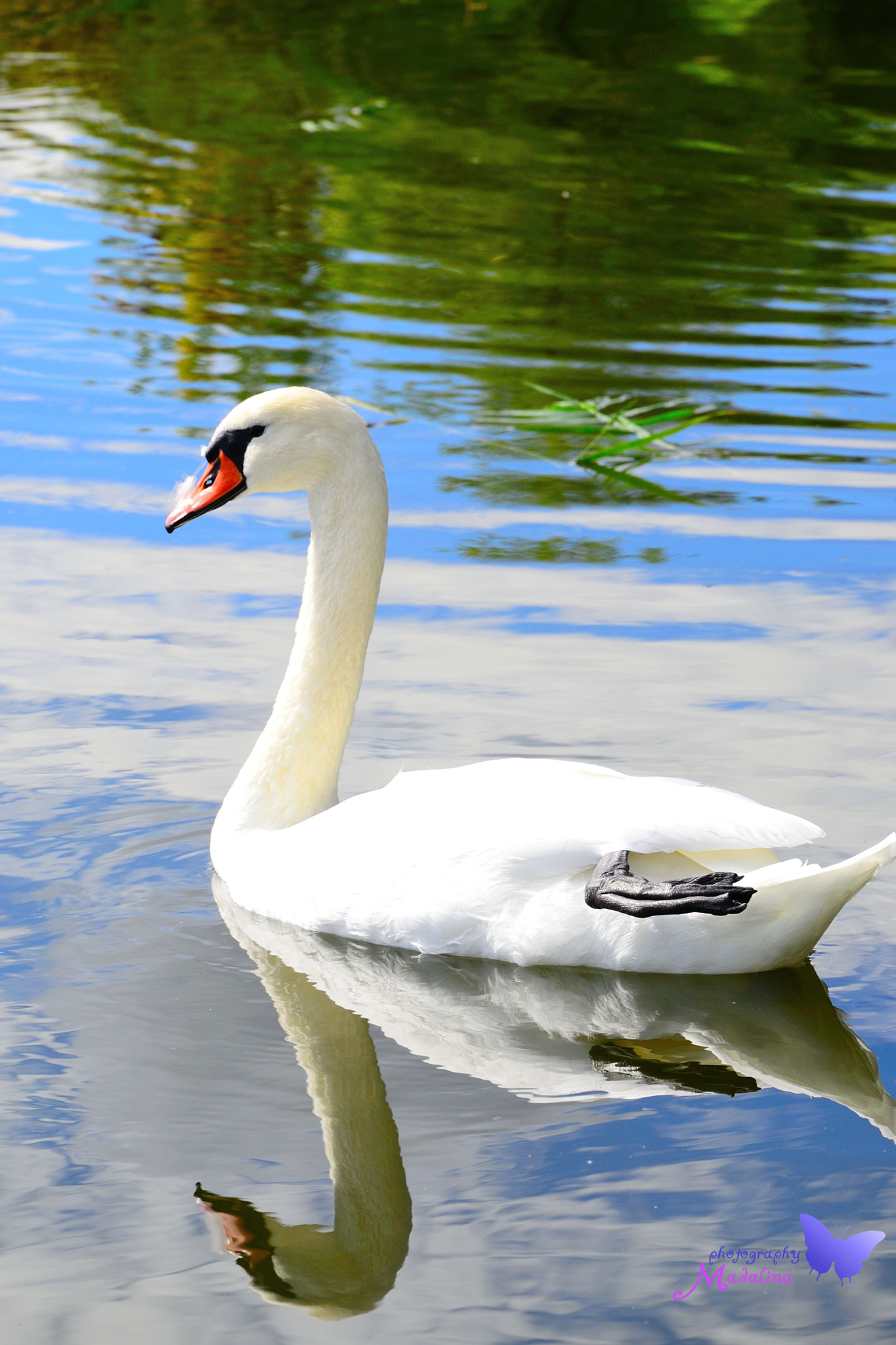 Nikon D3100 sample photo. Untitled photography