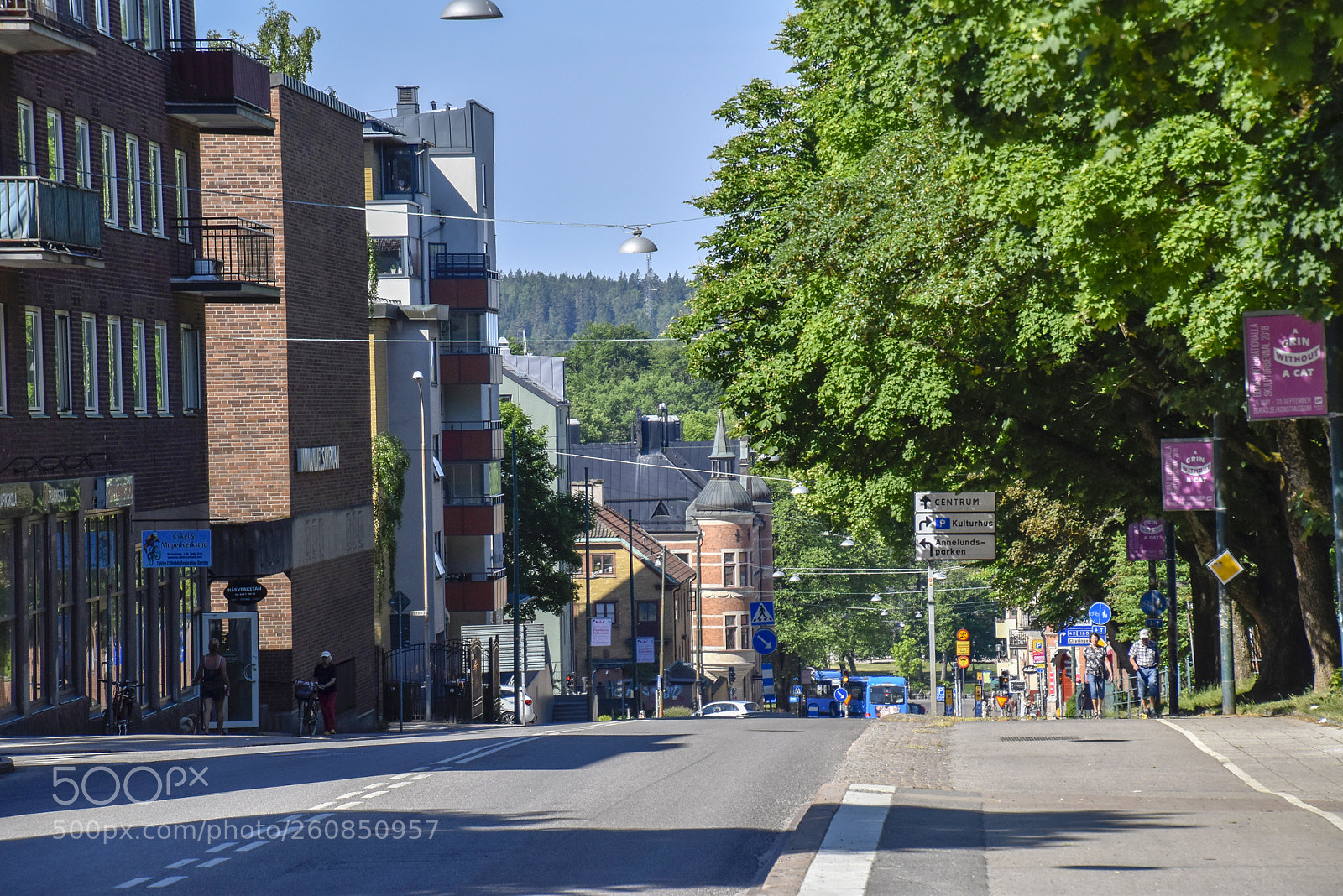 Nikon D5500 sample photo. Soliga gatan photography