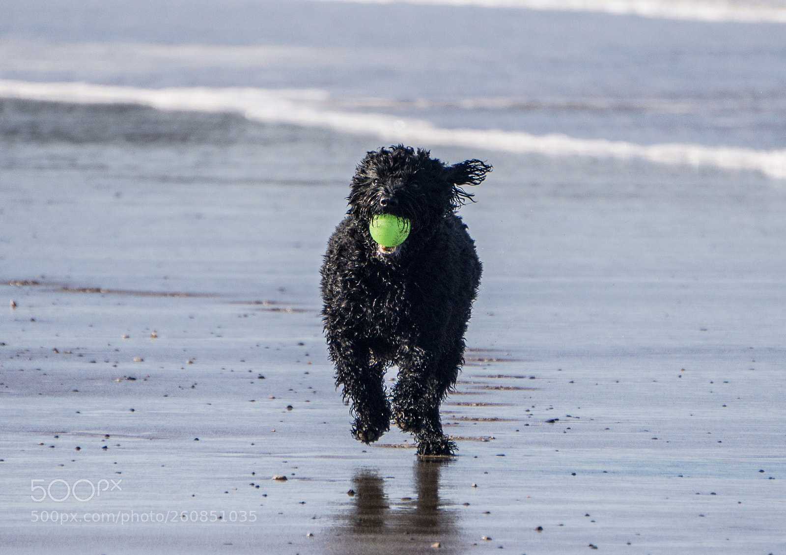 Sony a6000 sample photo. Dsc photography
