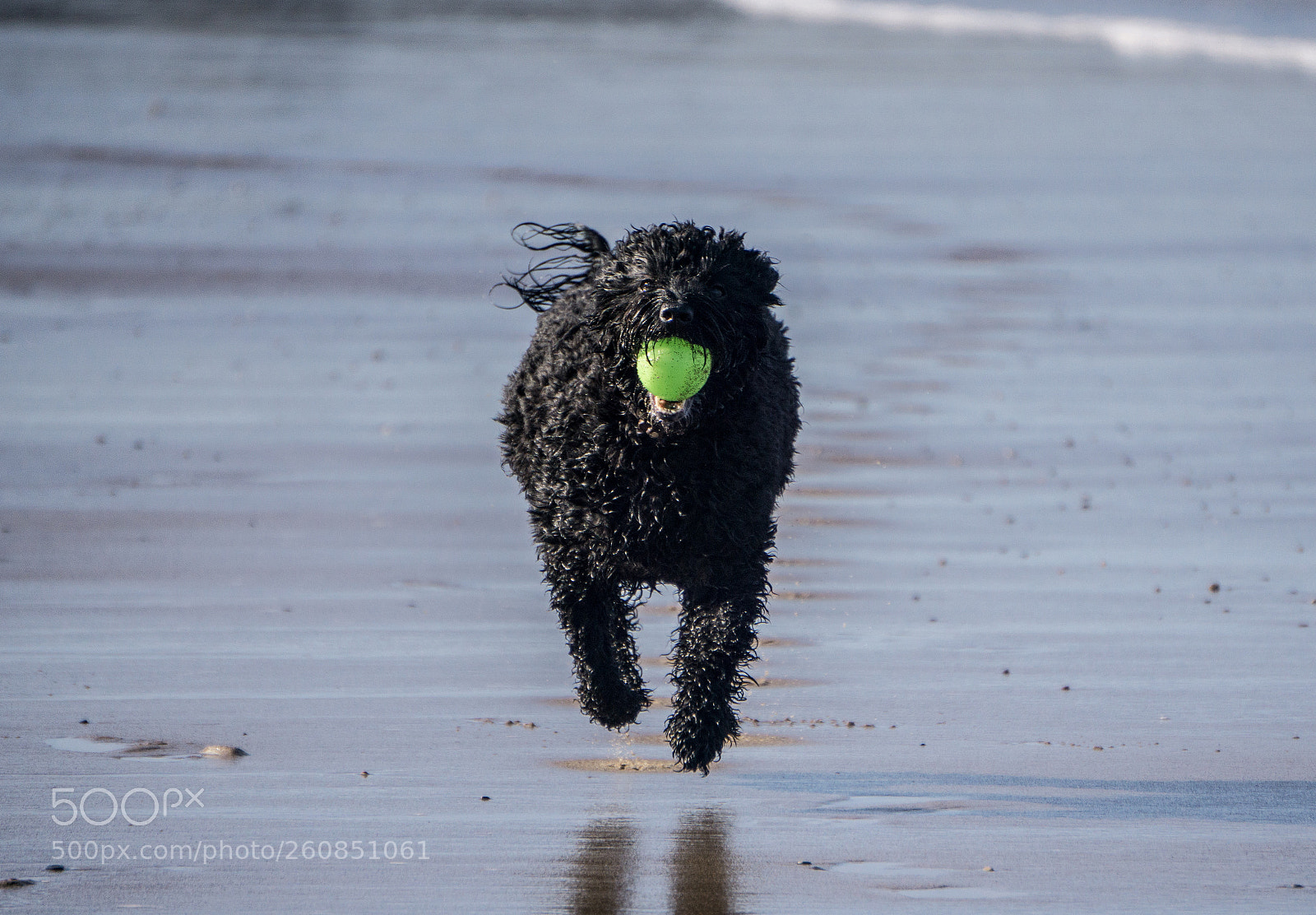 Sony a6000 sample photo. Dsc photography