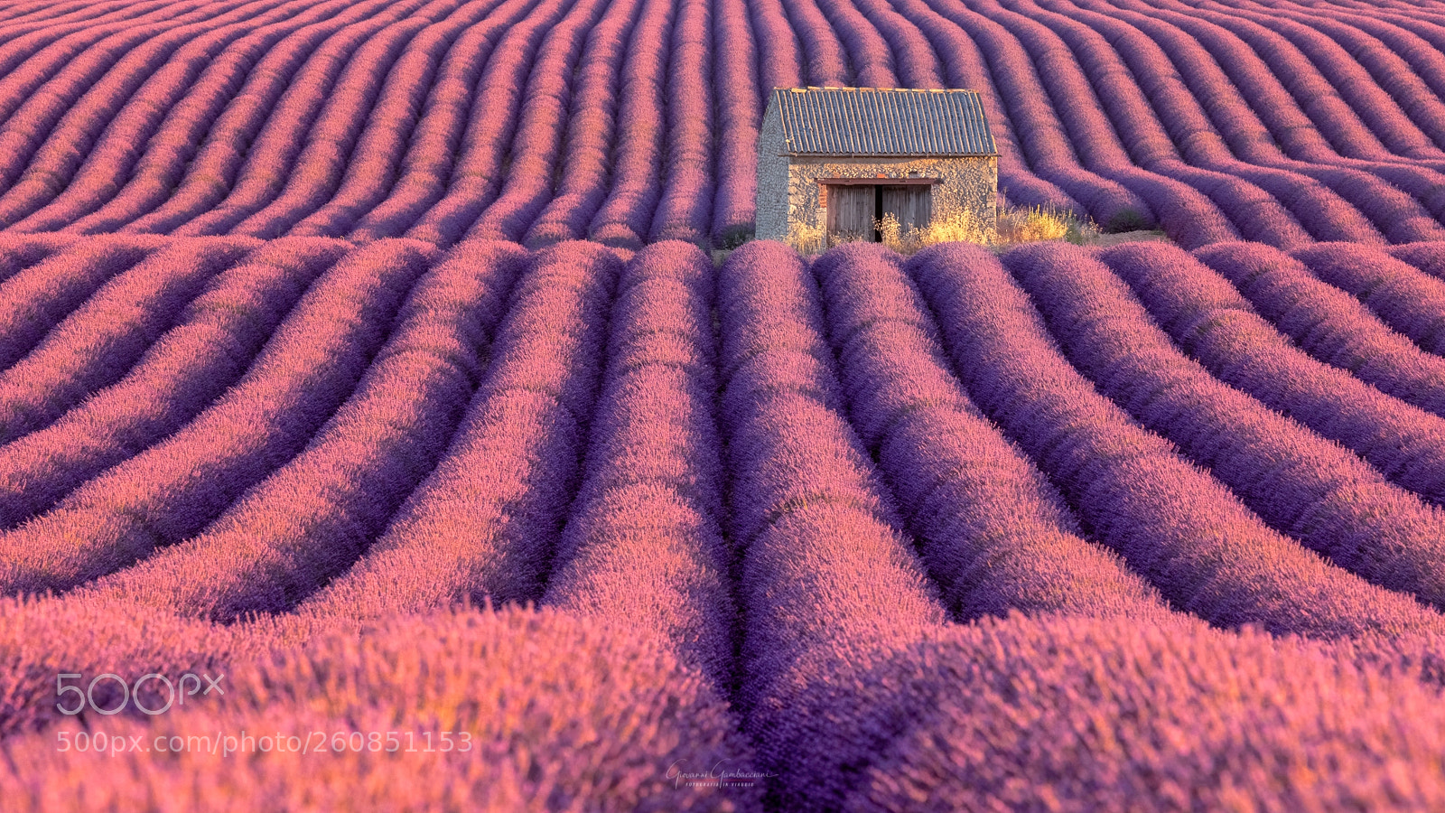 Canon EOS 5DS R sample photo. Provence and lavander photography