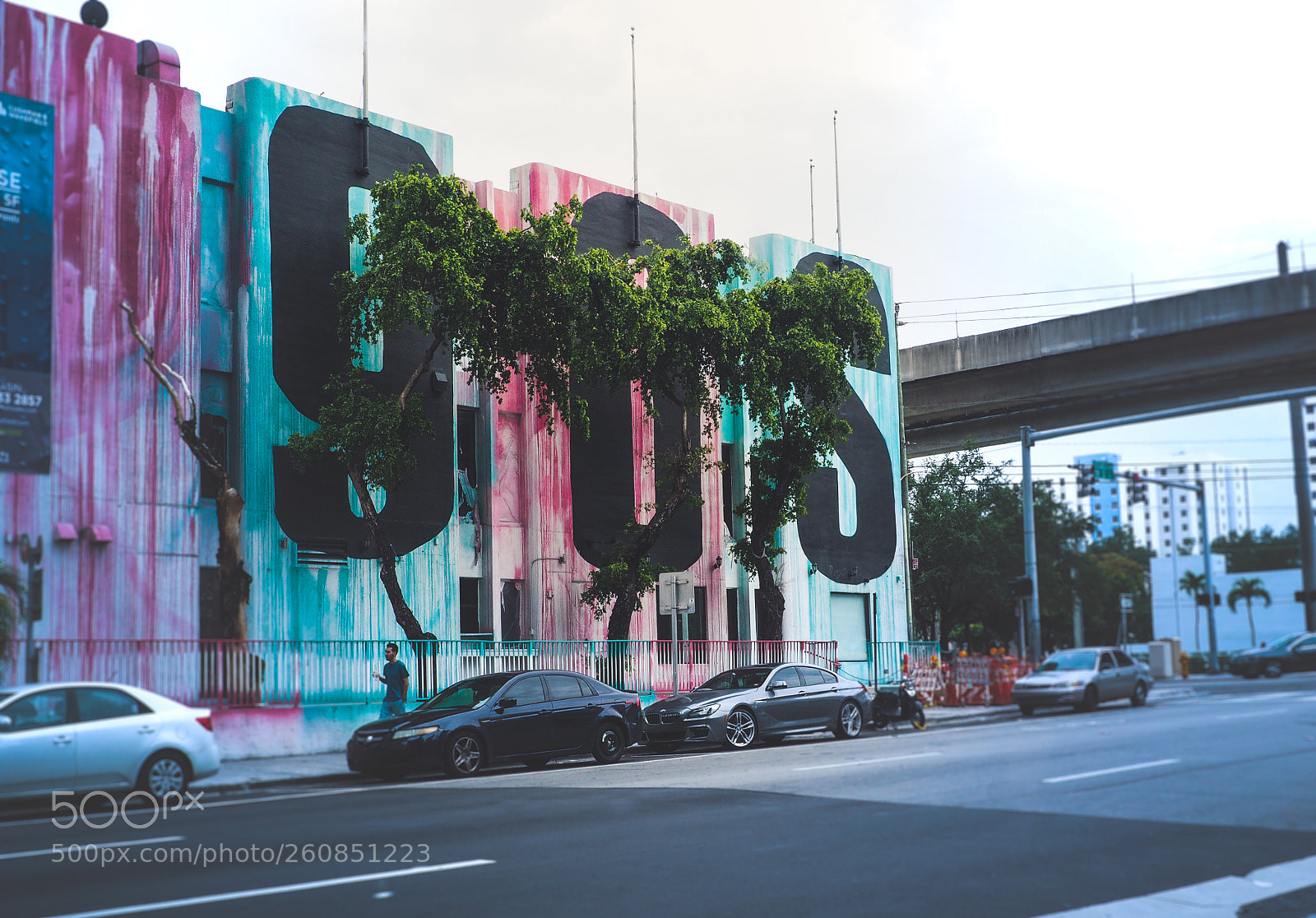 Olympus OM-D E-M10 sample photo. Miami art photography