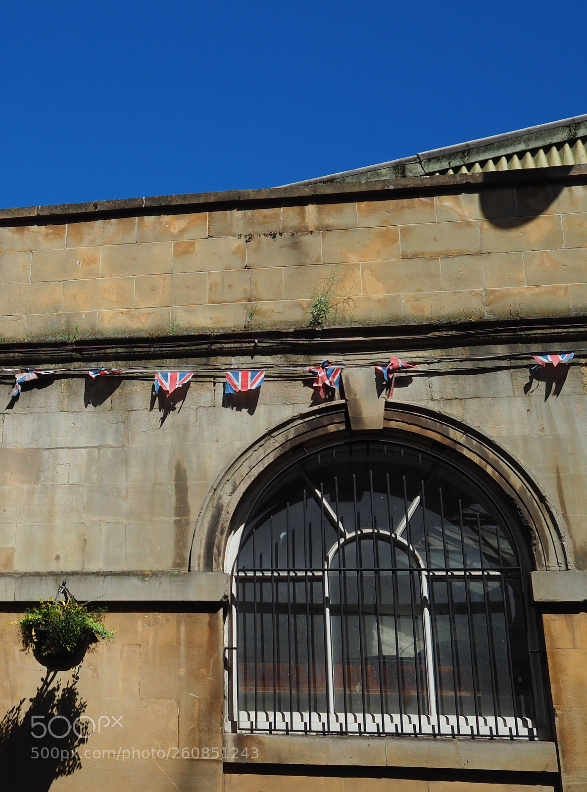 Olympus OM-D E-M5 II sample photo. Bunting photography