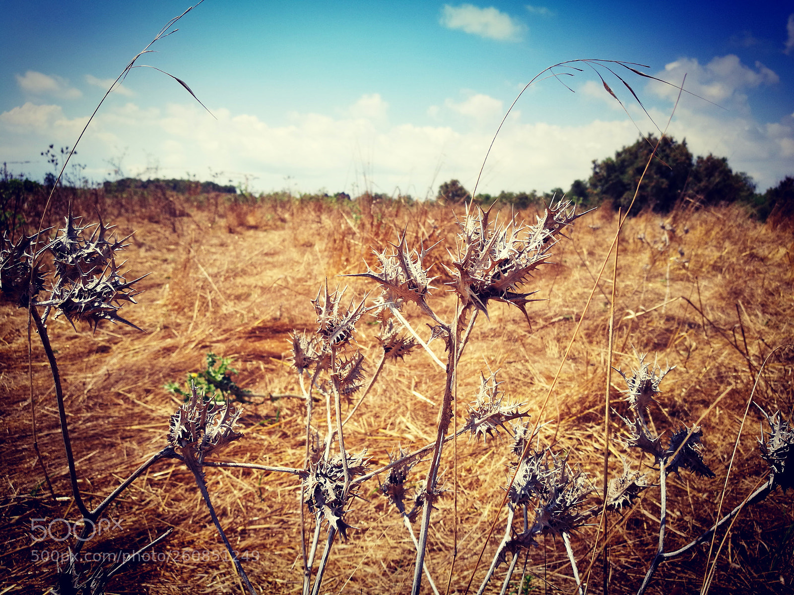 HUAWEI P9 sample photo. Untitled photography