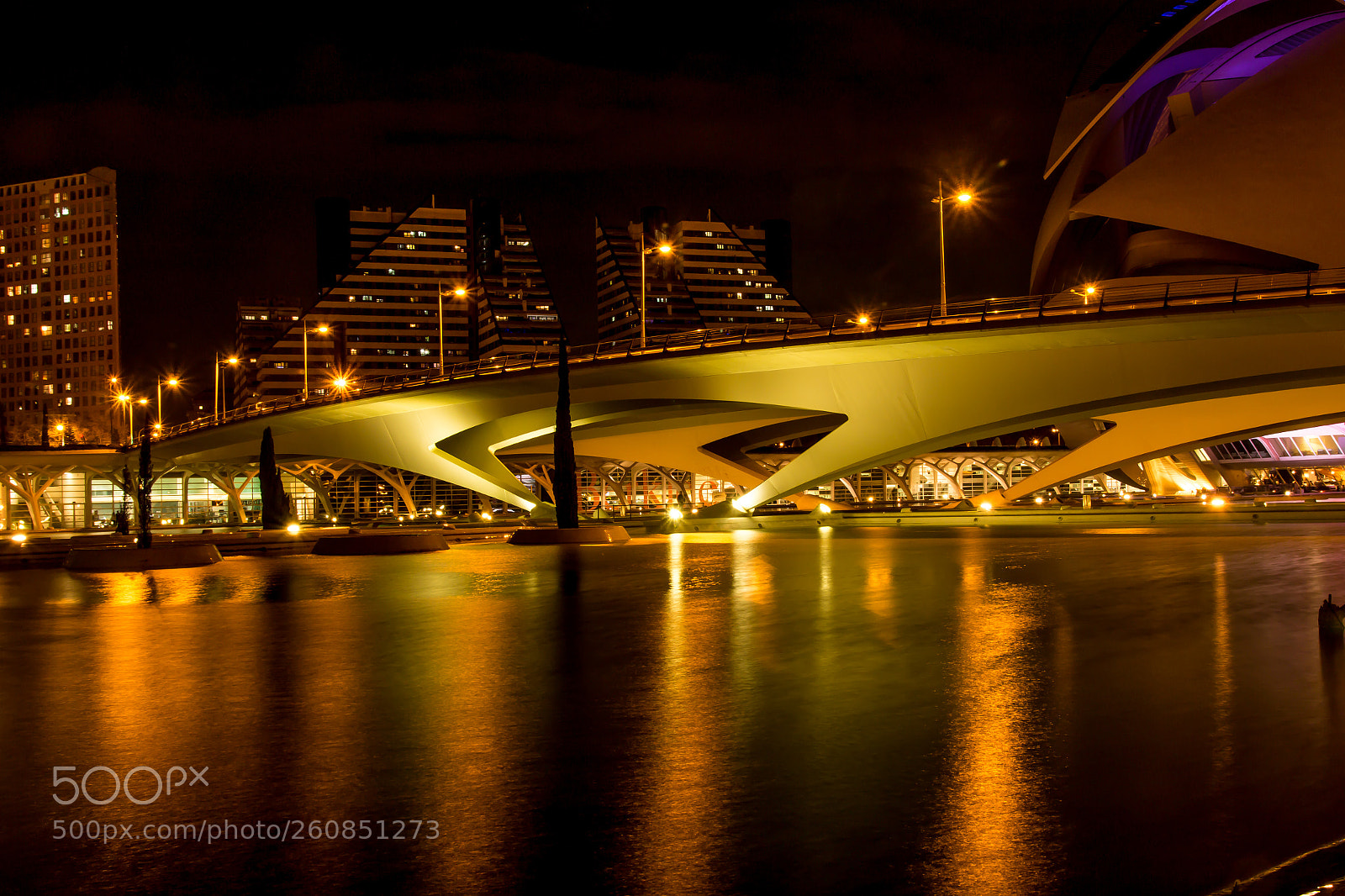 Canon EOS 70D sample photo. Golden bridge photography