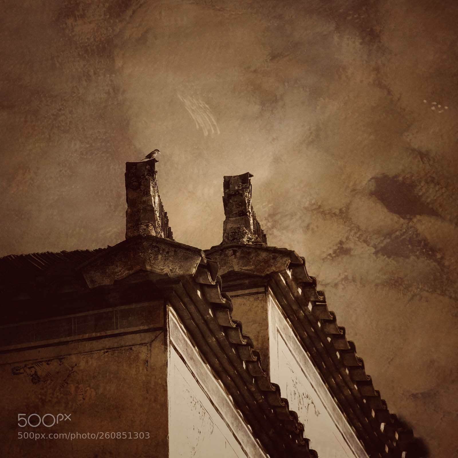 Canon EOS 5DS R sample photo. Untitled photography