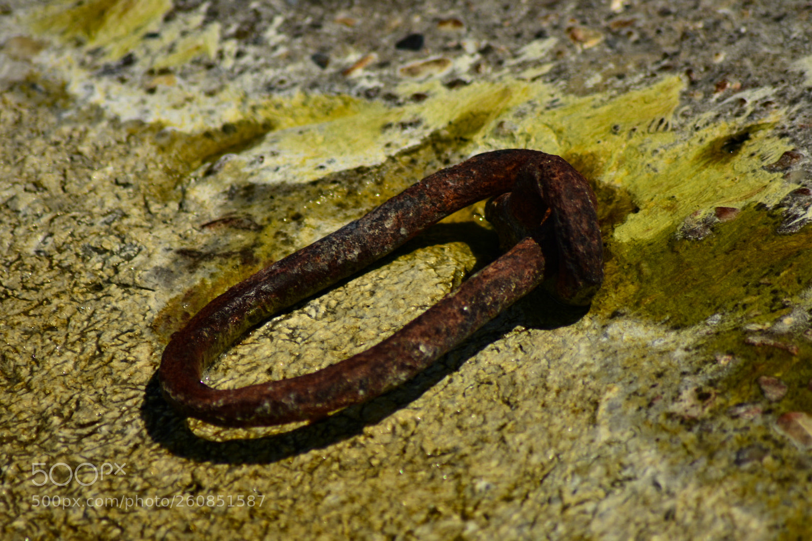Nikon D7200 sample photo. Untitled photography