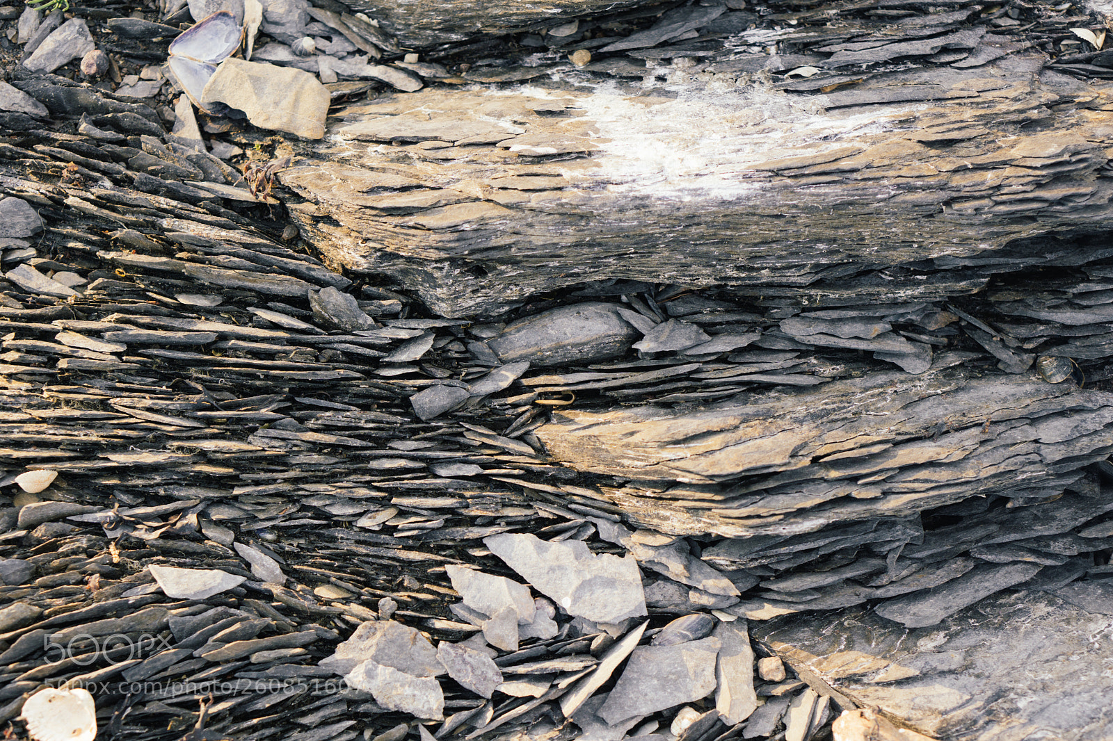 Sony a6000 sample photo. Close-up of stone photography