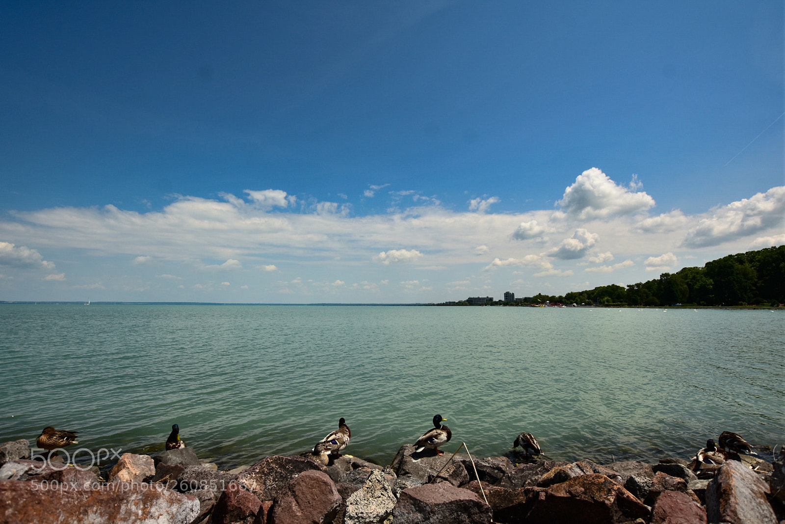 Nikon D7200 sample photo. Untitled photography