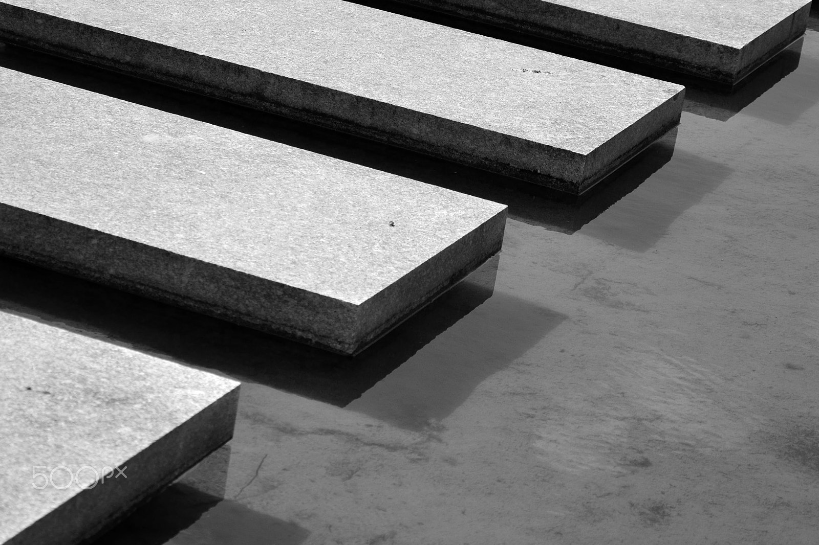 Nikon D3100 sample photo. Contrast photography