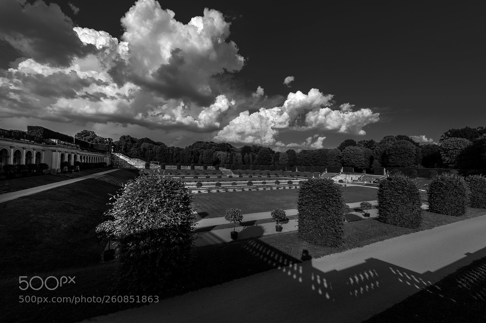 Nikon D4 sample photo. Tidy park bw photography
