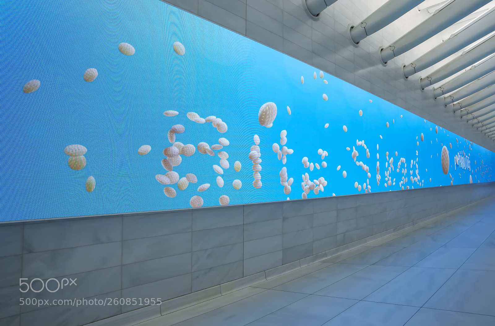 Canon EOS 5D Mark II sample photo. Oculus center hallway with photography