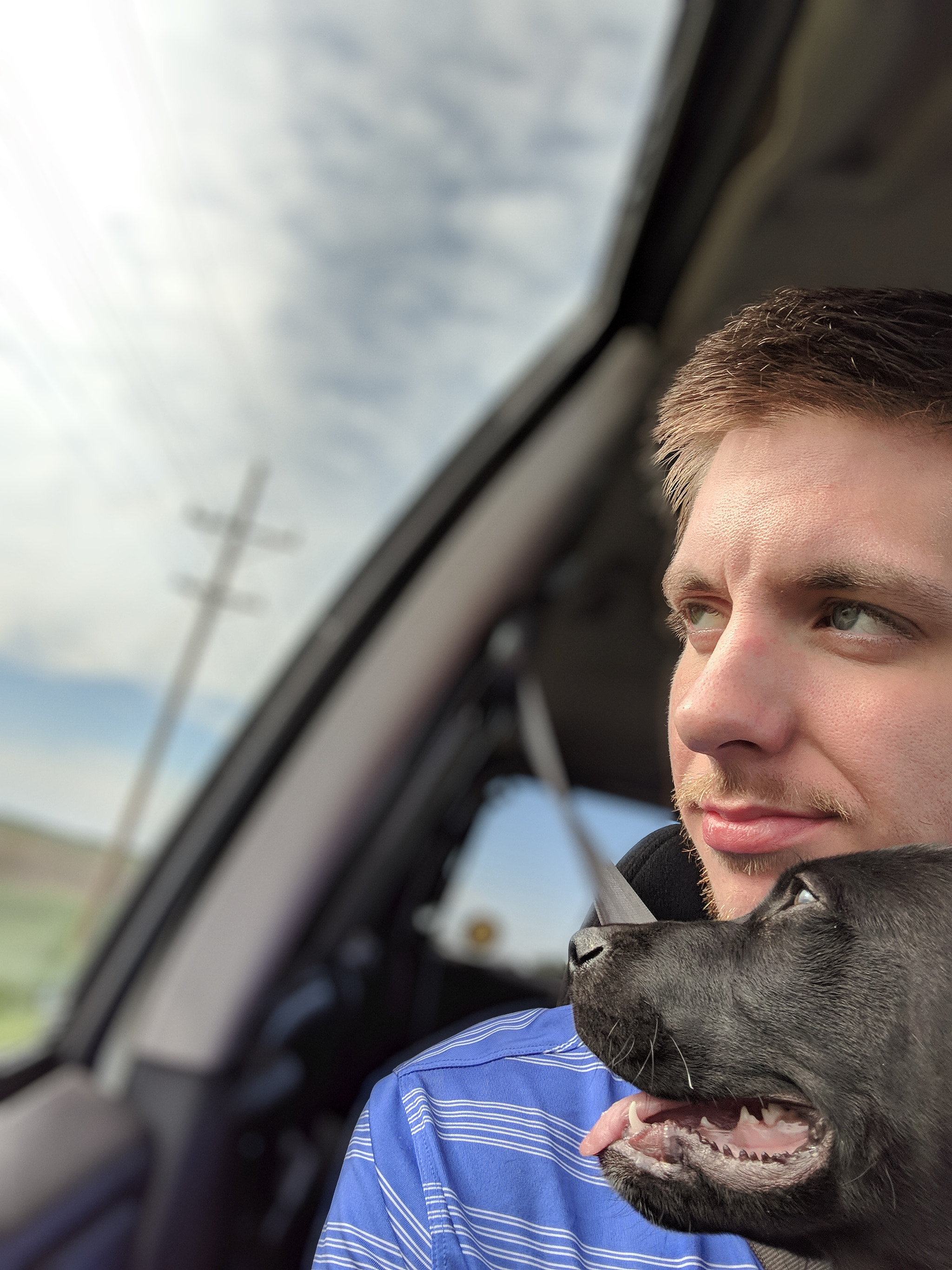 Google Pixel 2 XL sample photo. Untitled photography