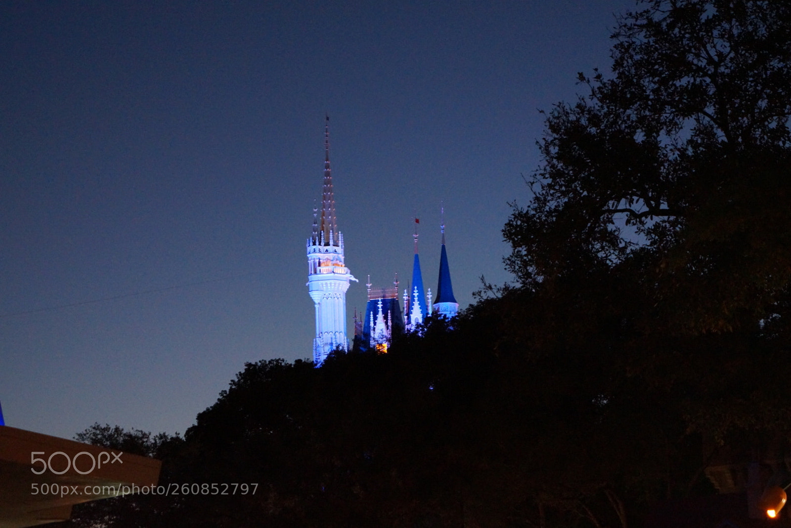 Sony SLT-A58 sample photo. Cinderella castle at night photography