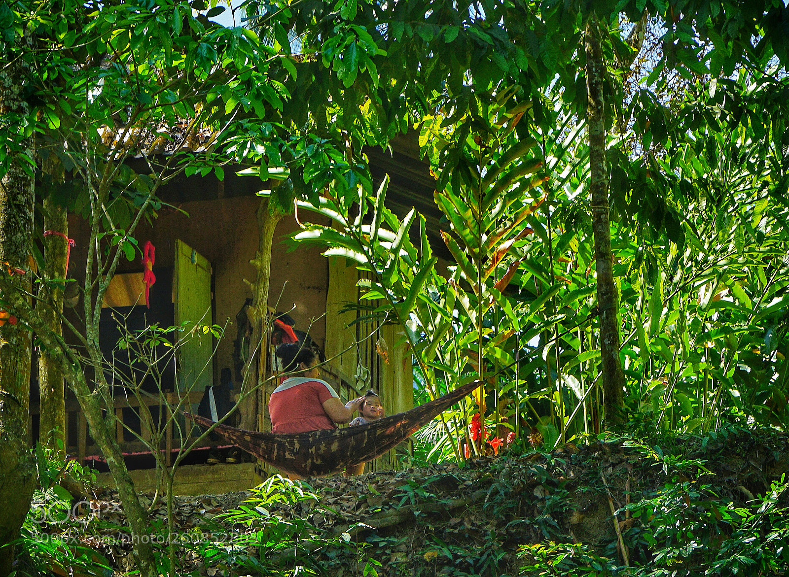 Sony a6000 sample photo. Leben im khao sok photography