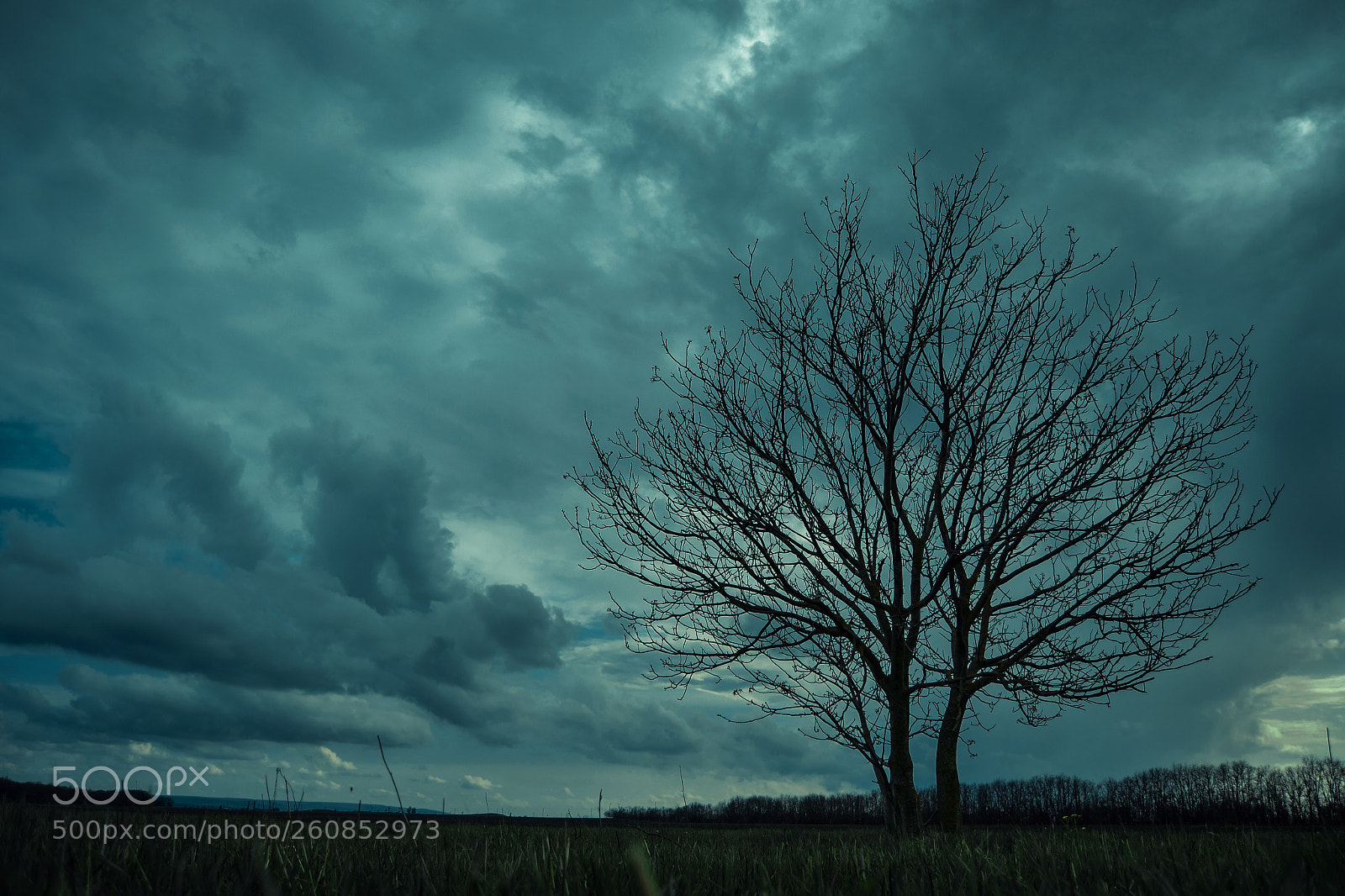 Nikon D3100 sample photo. Storm photography