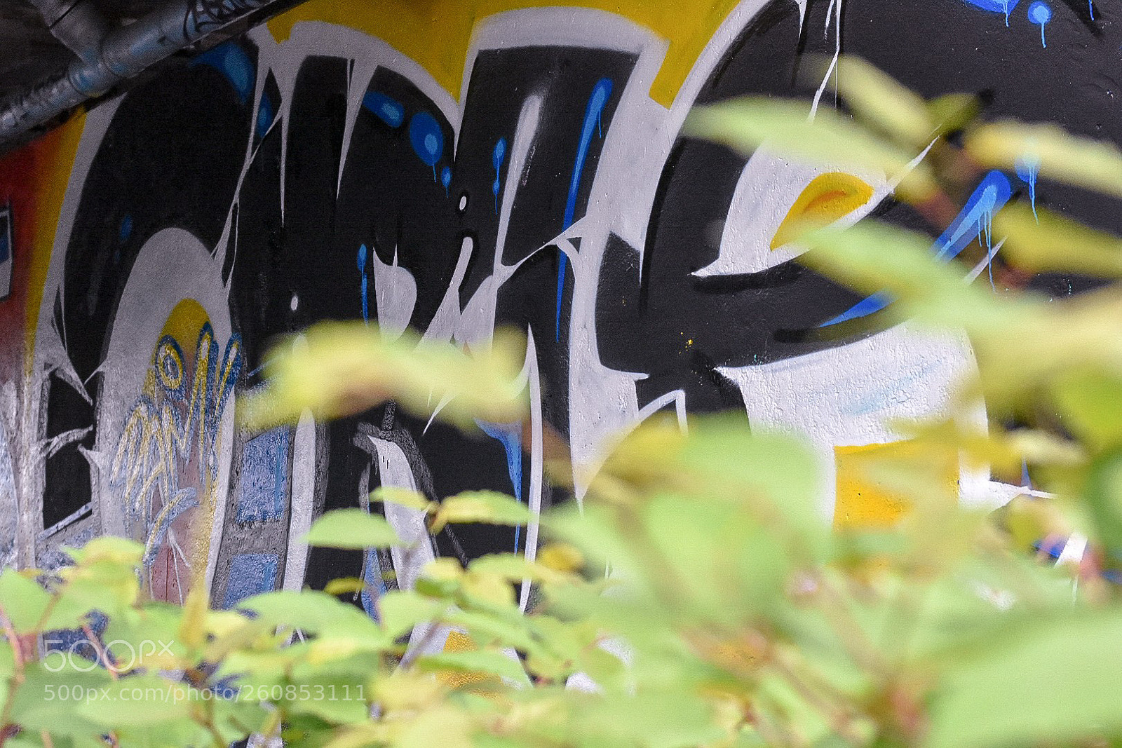 Nikon D3400 sample photo. Cache cache photography