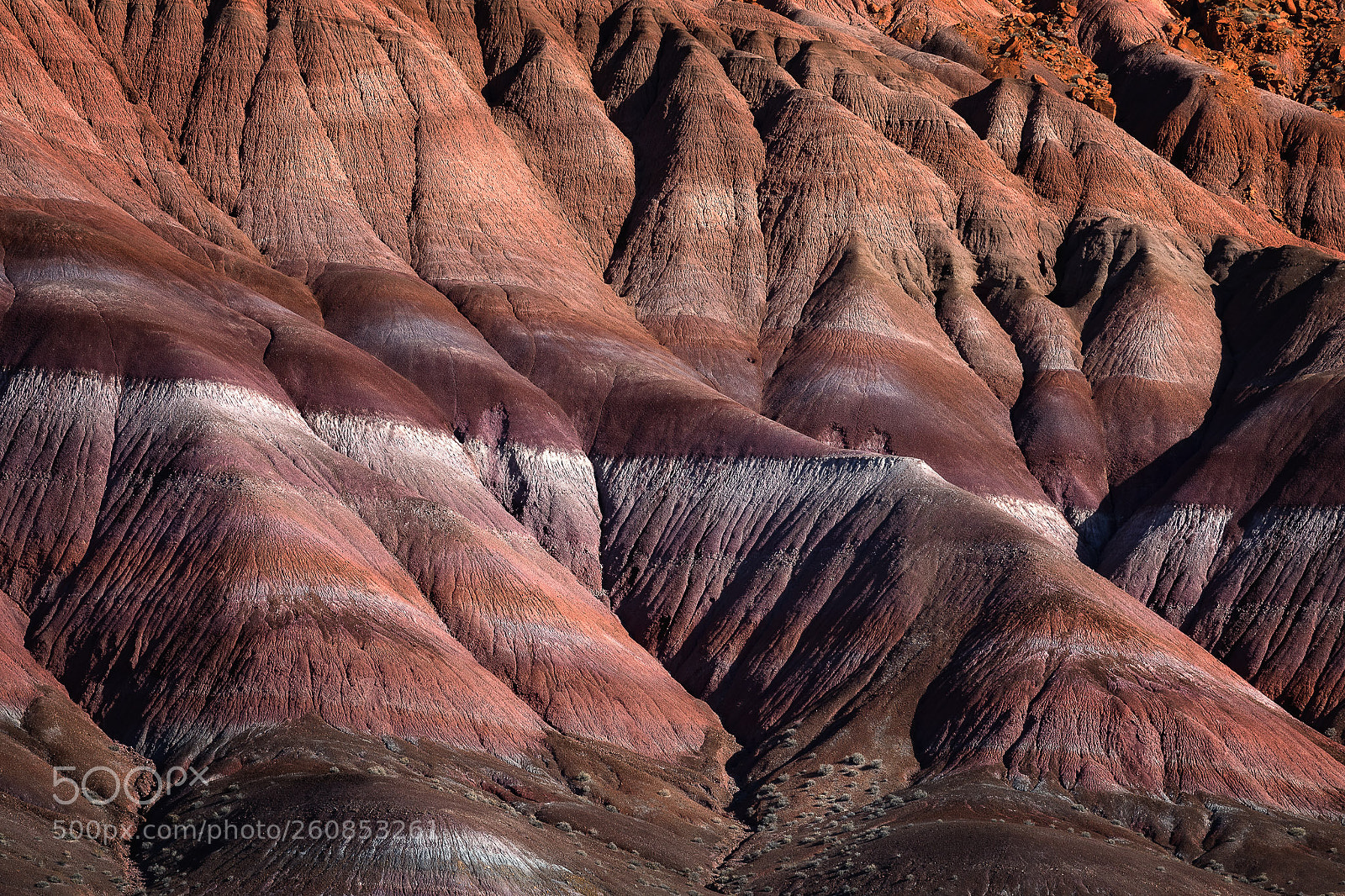 Canon EOS 5D Mark IV sample photo. Earth wrinkles photography