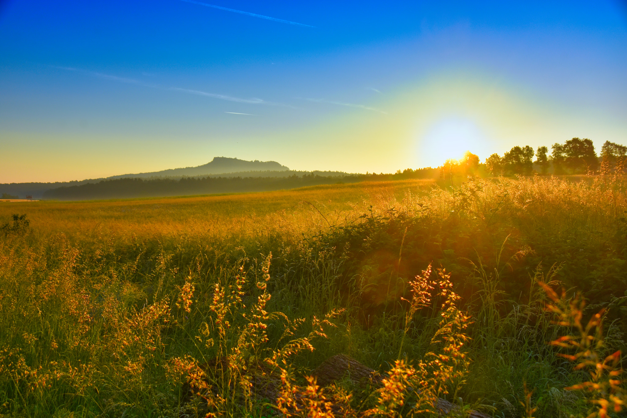 Sigma 18-250mm F3.5-6.3 DC Macro OS HSM sample photo. Fields of gold photography
