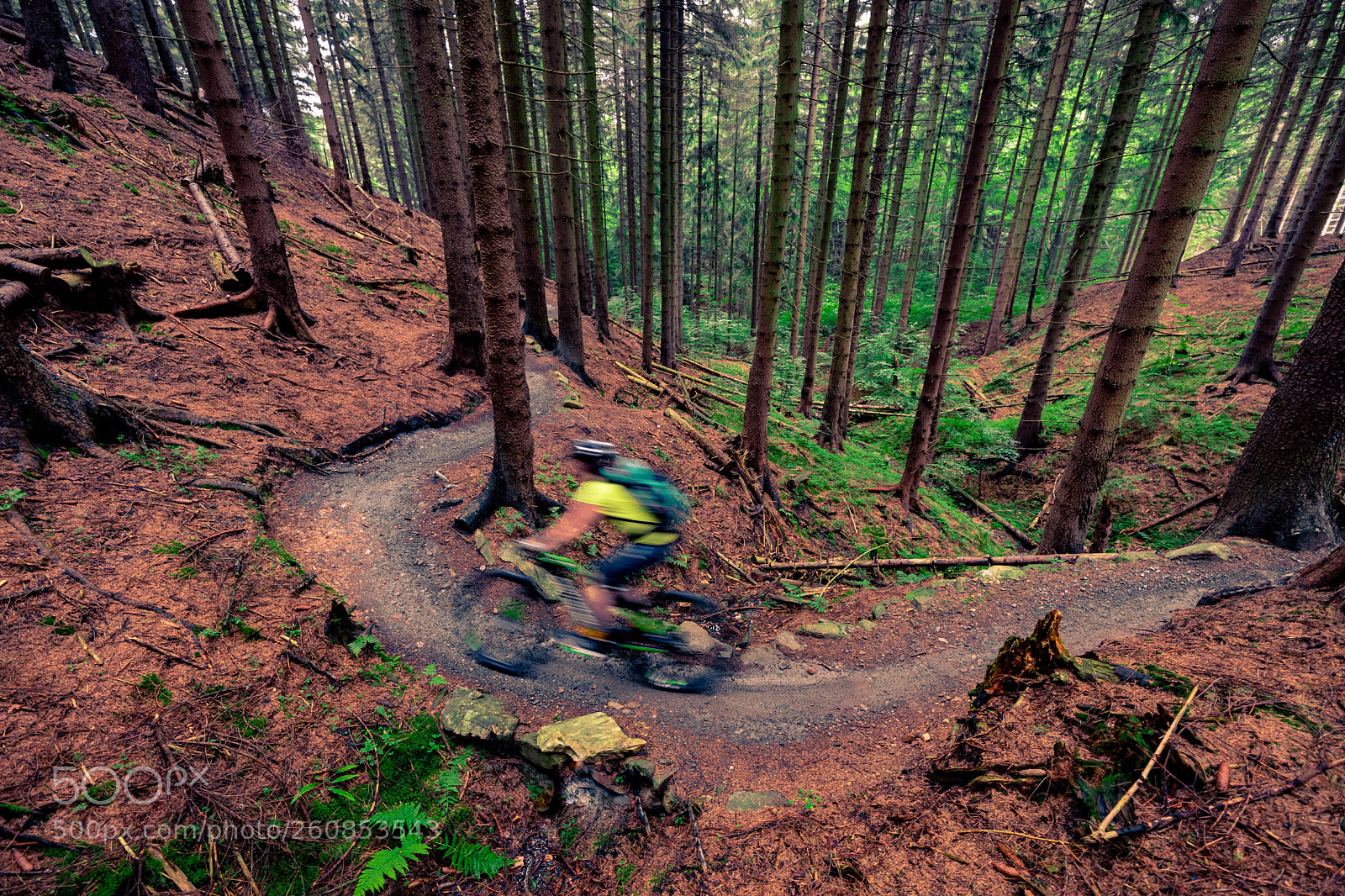 Canon EOS 6D Mark II sample photo. In trail photography