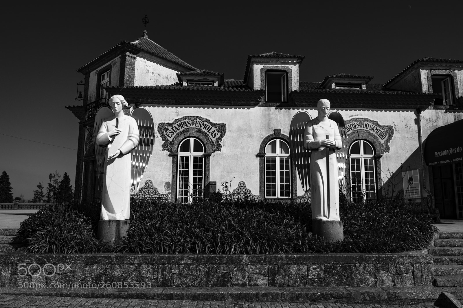 Fujifilm X-Pro2 sample photo. Angels photography