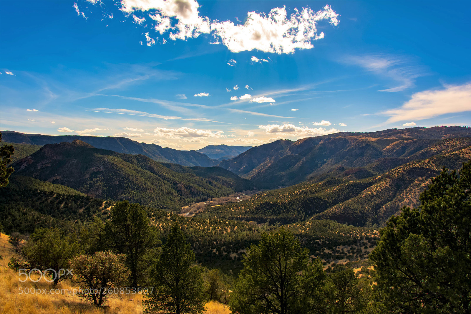 Nikon D7100 sample photo. Gila national forest photography