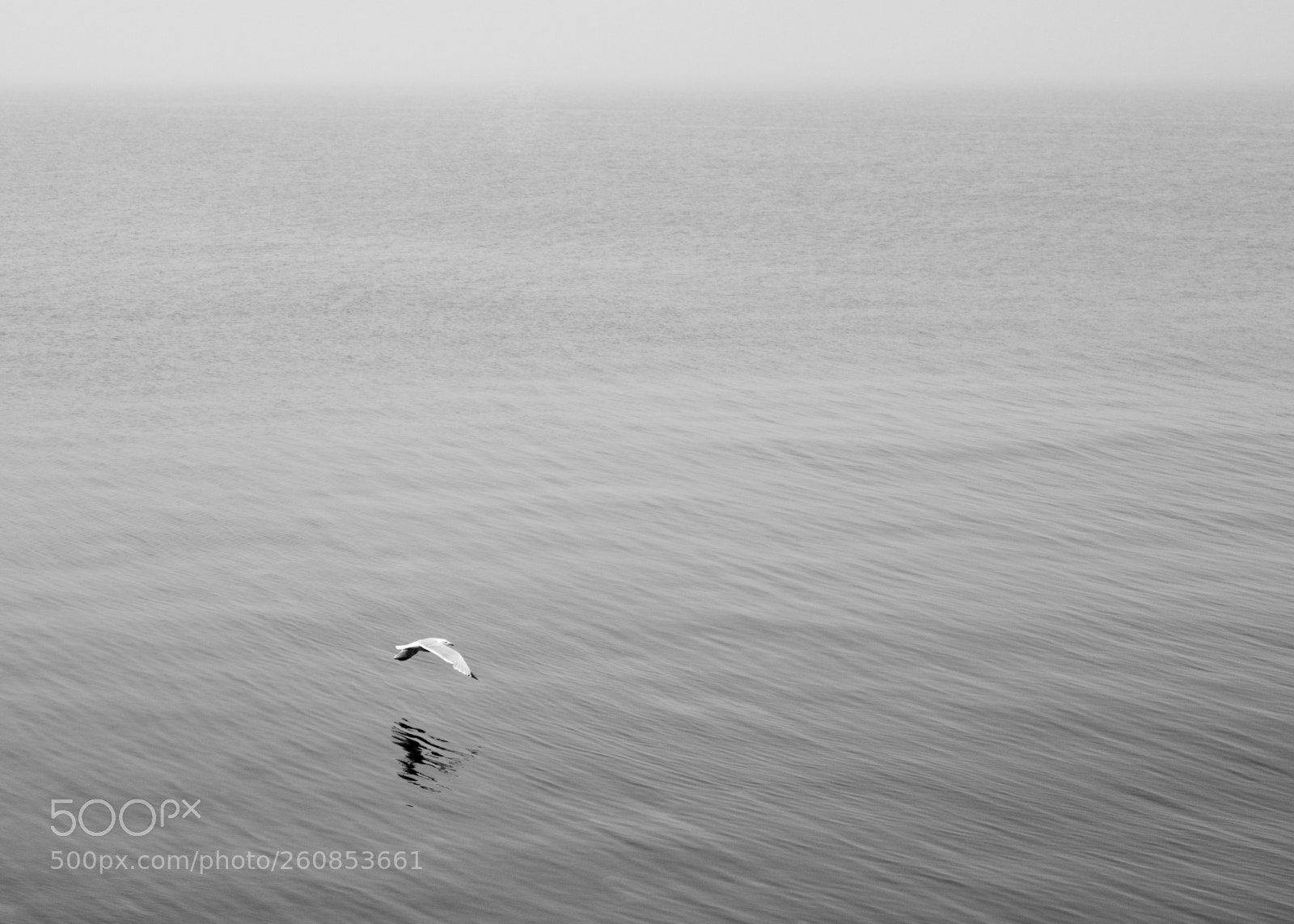 Fujifilm GFX 50S sample photo. Crossing the sea photography
