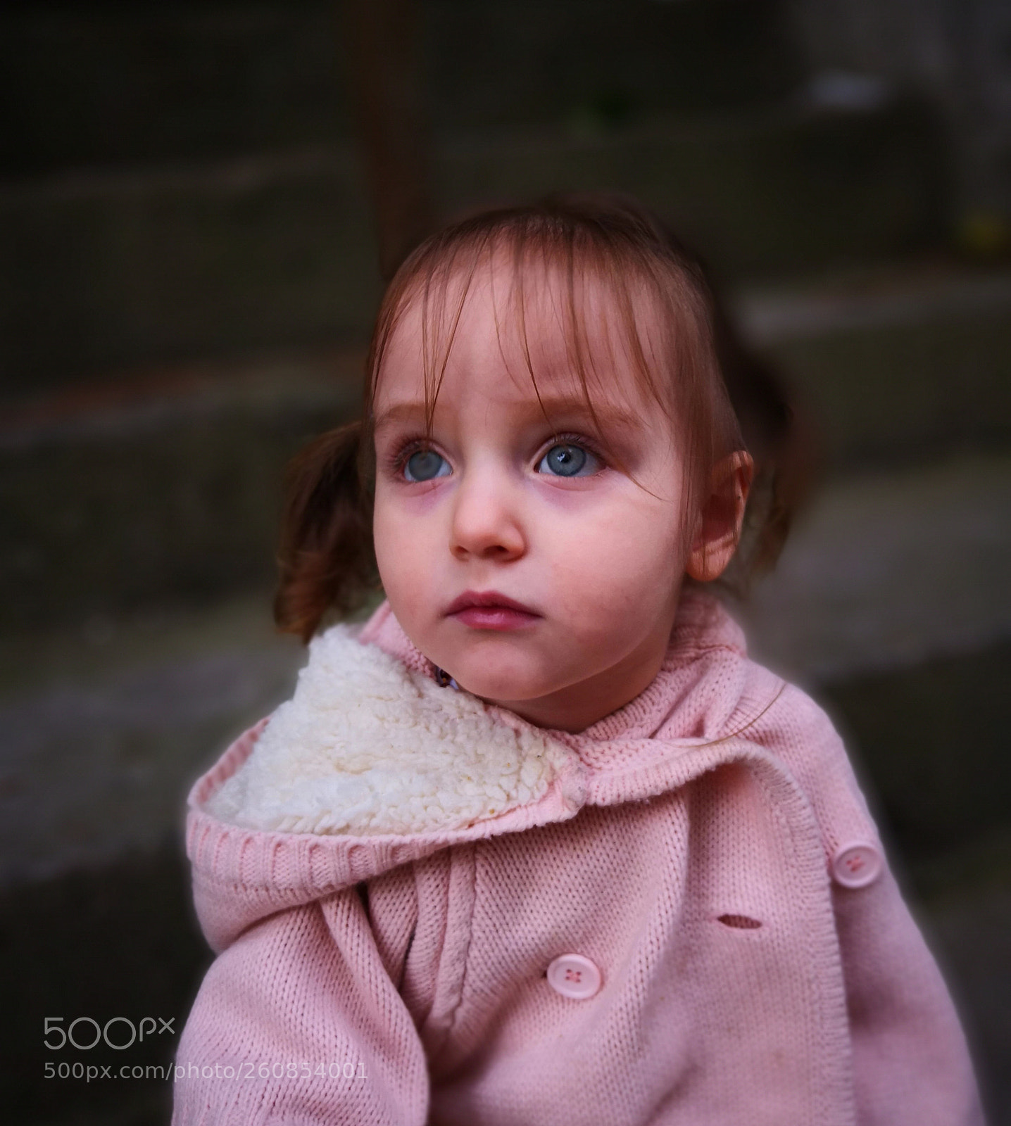 HUAWEI Mate 10 Pro sample photo. Untitled photography
