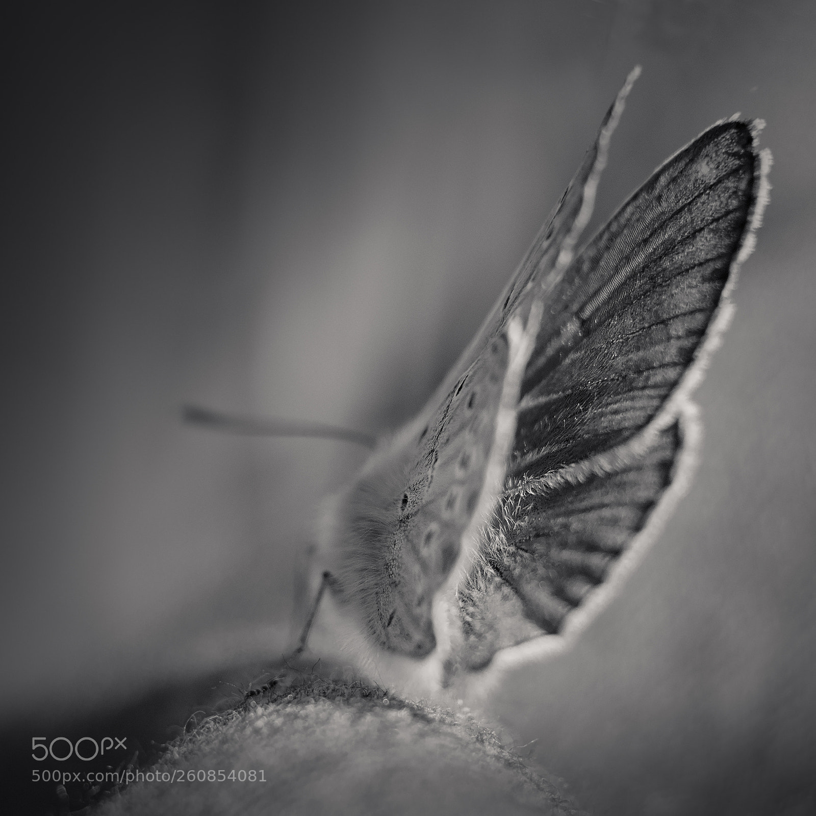 Nikon D5200 sample photo. Abstract photography