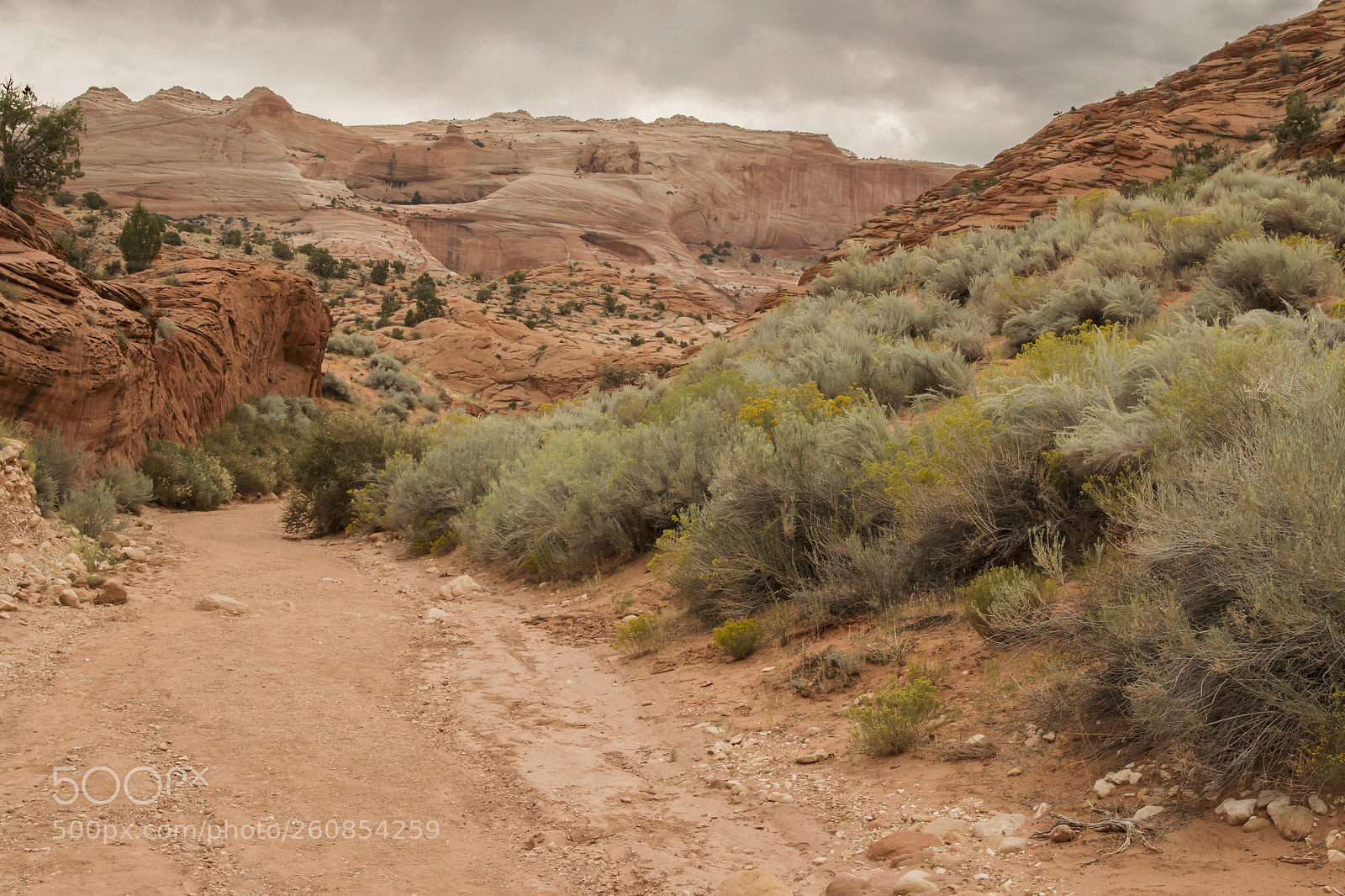 Canon EOS 70D sample photo. Wire pass trail photography
