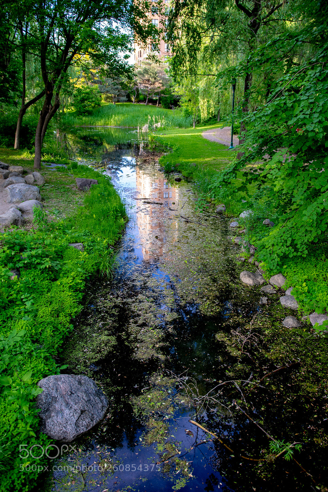 Nikon D5300 sample photo. The things we often photography