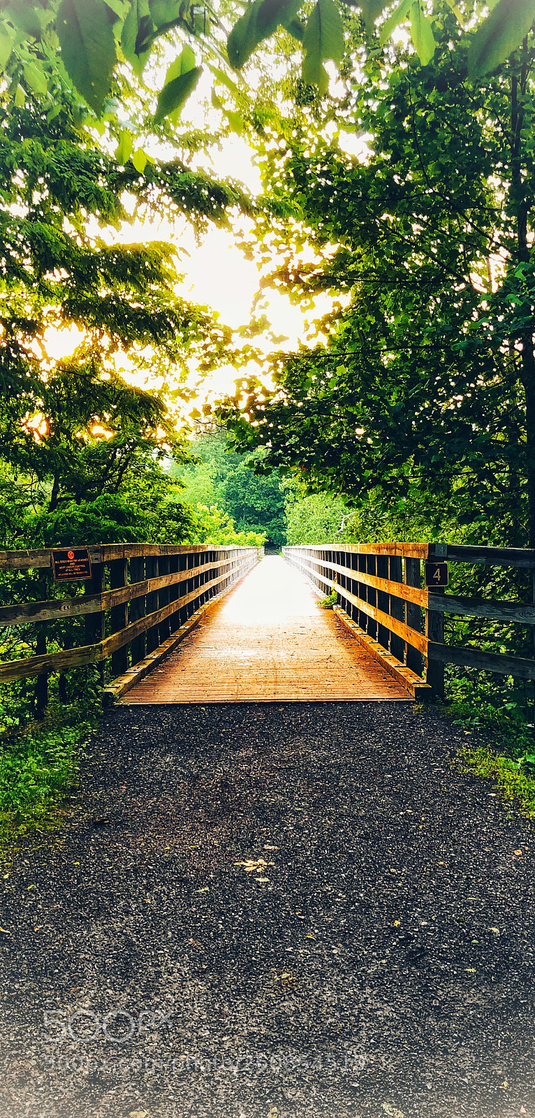 Apple iPhone X sample photo. Foot bridge  photography