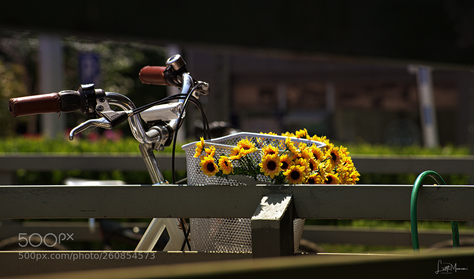 Nikon D7200 sample photo. Bike on skopje street photography