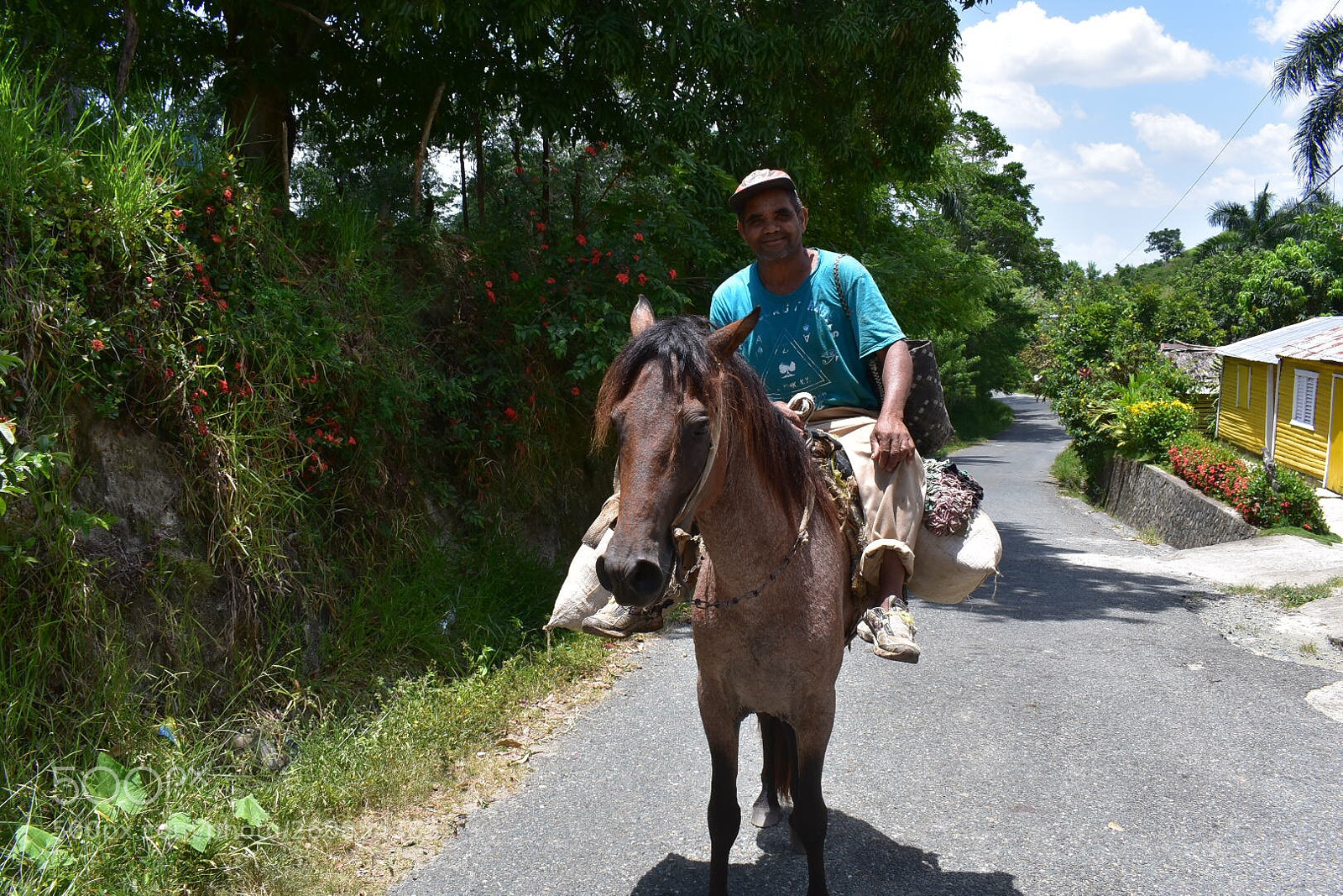 Nikon D3400 sample photo. Rural ‘s life. photography