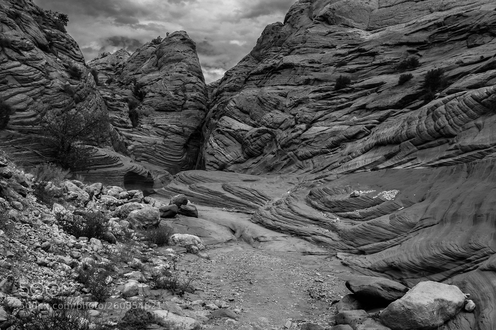 Canon EOS 70D sample photo. Wire pass trail photography