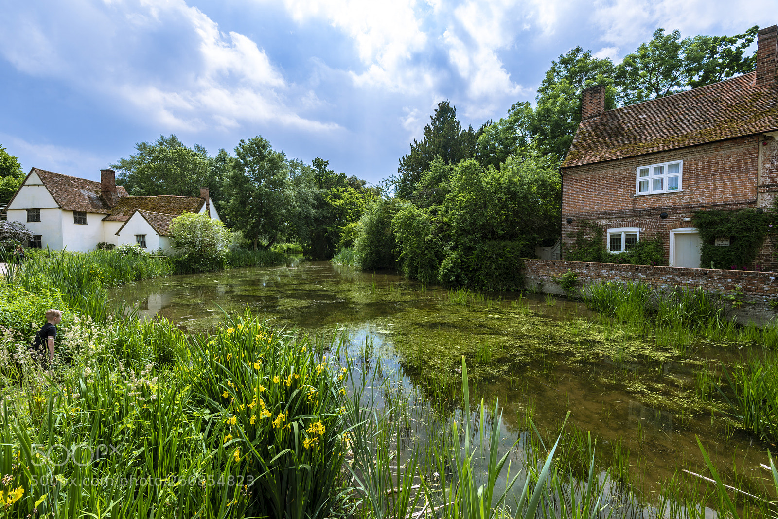 Nikon D810 sample photo. Suffolk river stour photography
