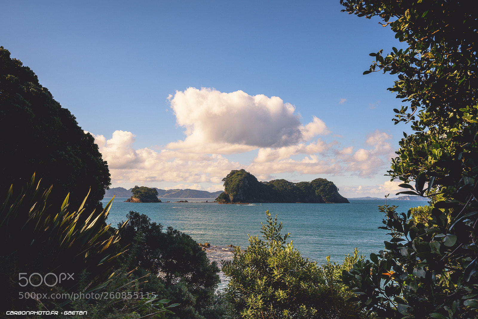 Nikon D7200 sample photo. Paradise photography