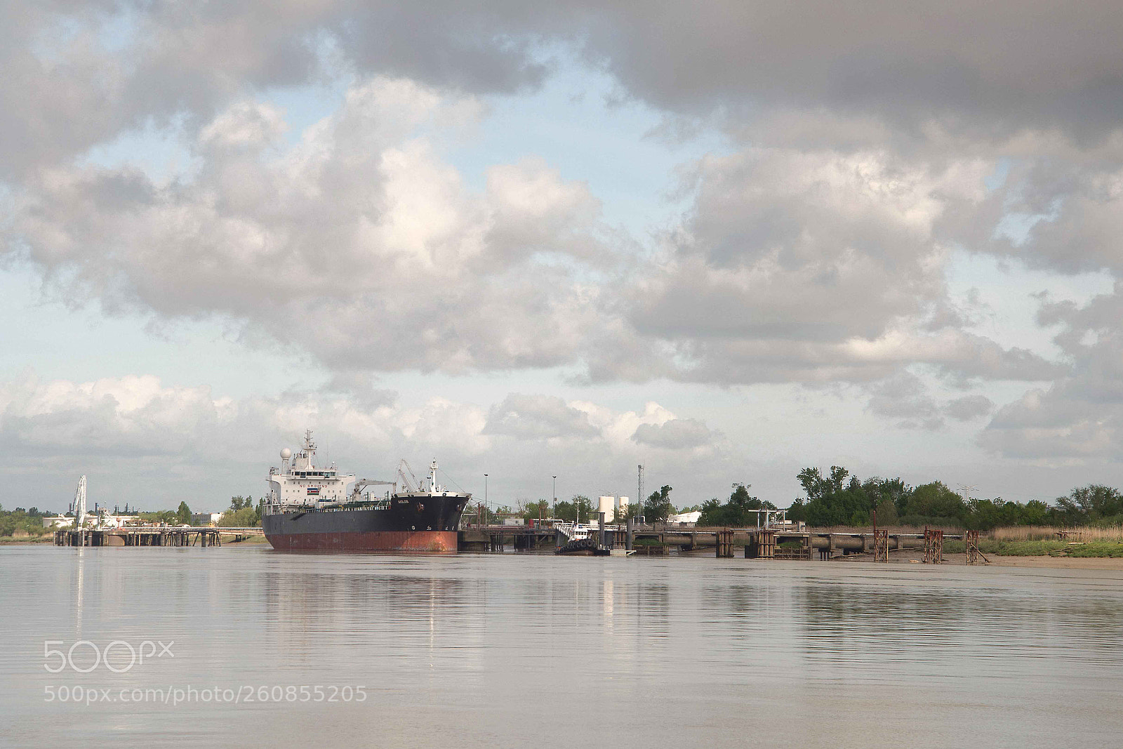 Nikon D610 sample photo. On the river photography