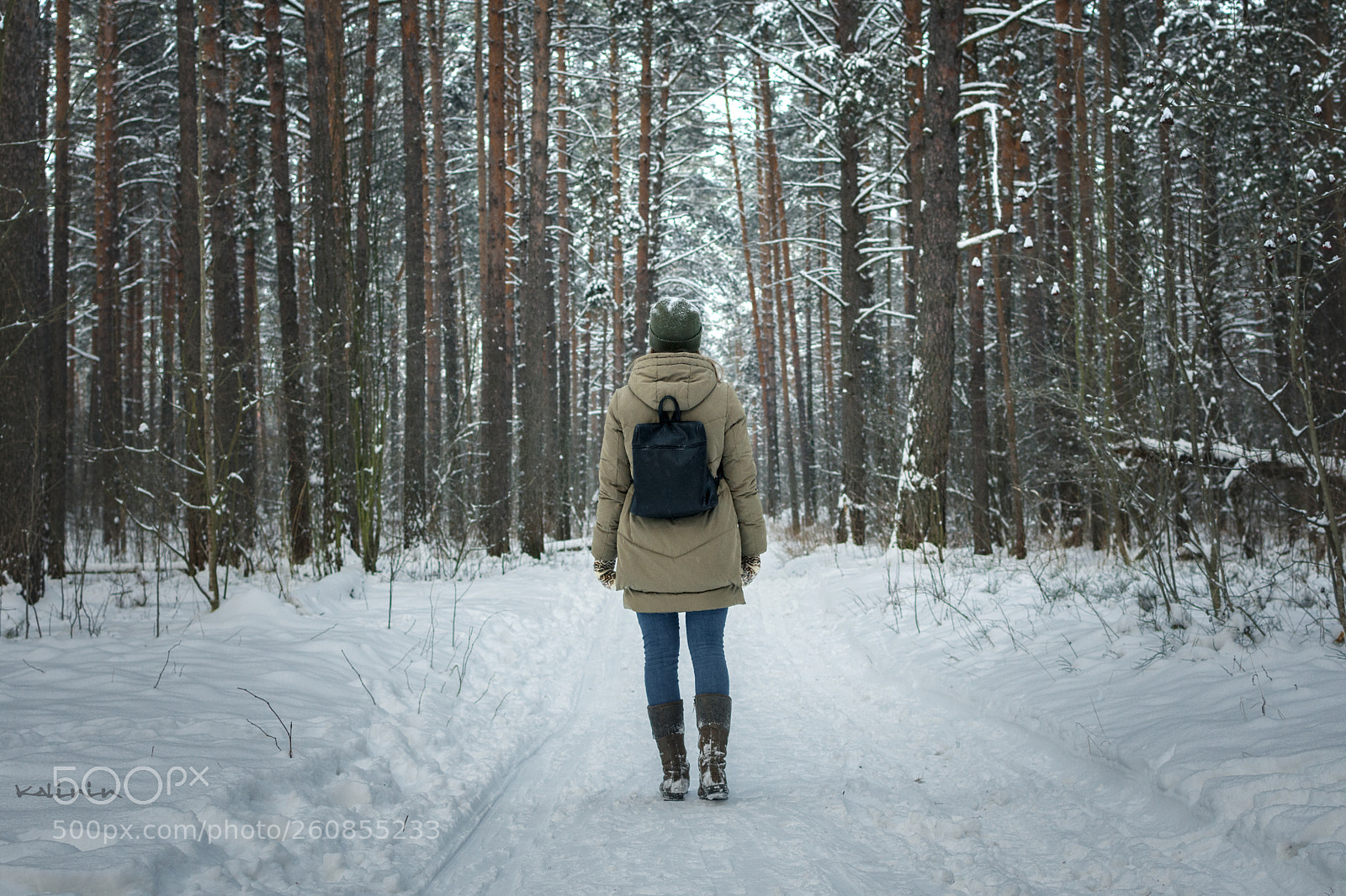 Nikon D7200 sample photo. Walk... photography
