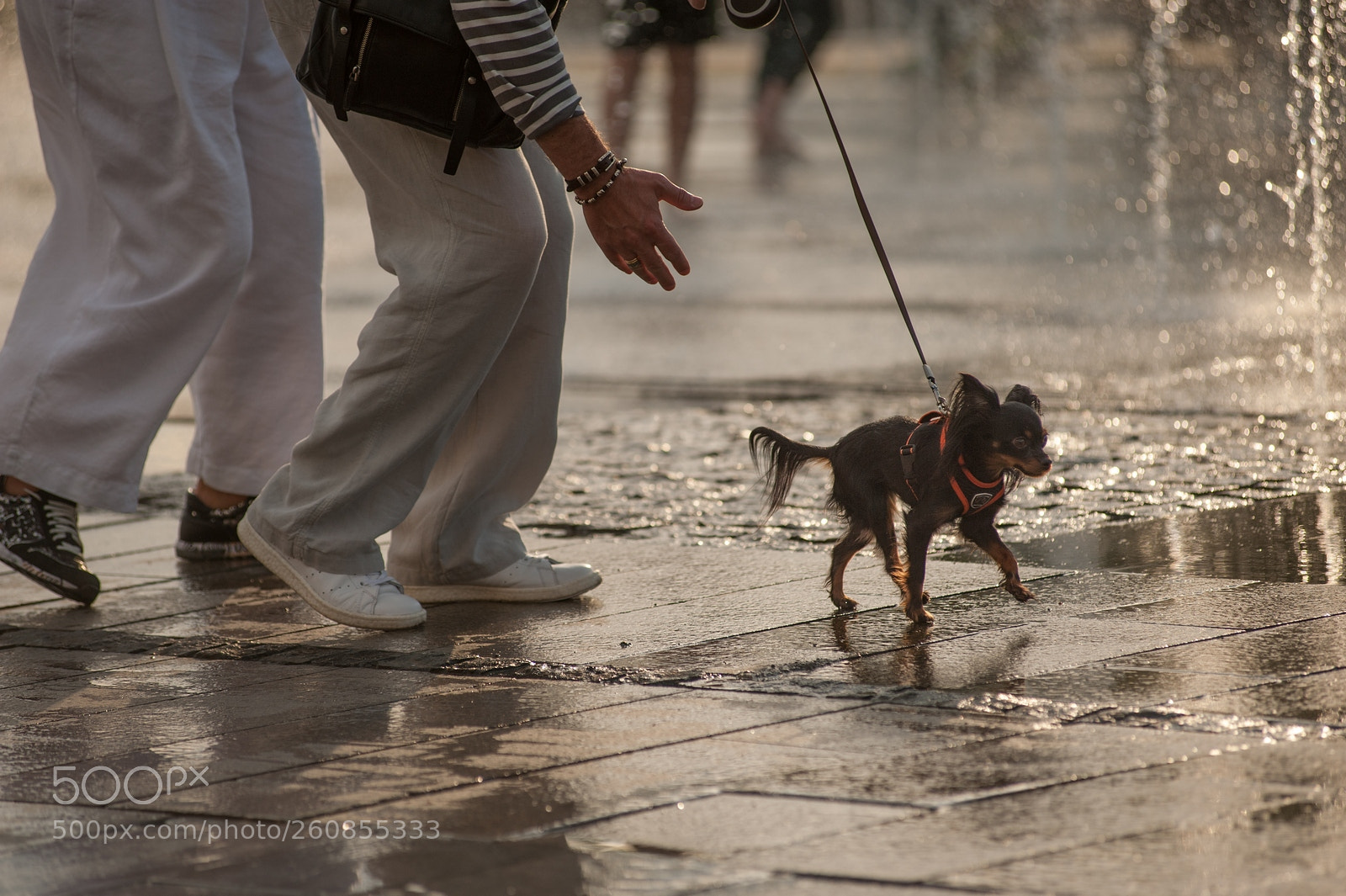 Nikon D700 sample photo. Wet photography
